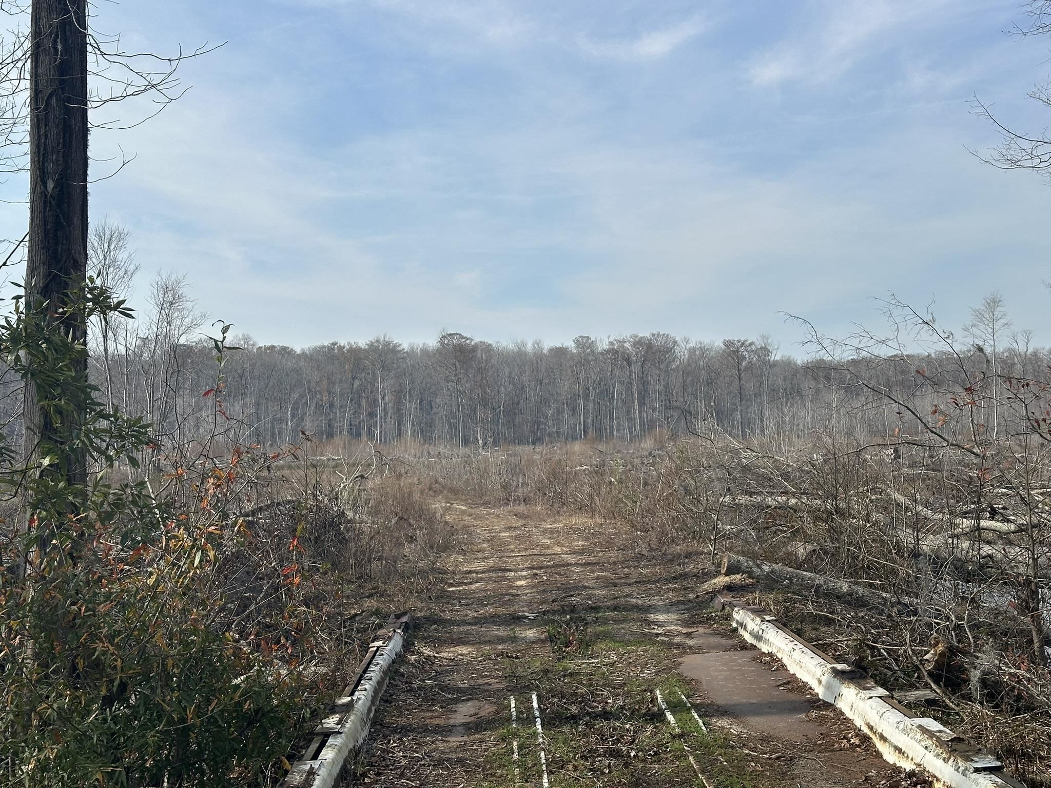 Tbd Hunters Chapel Rd Property Photo 48