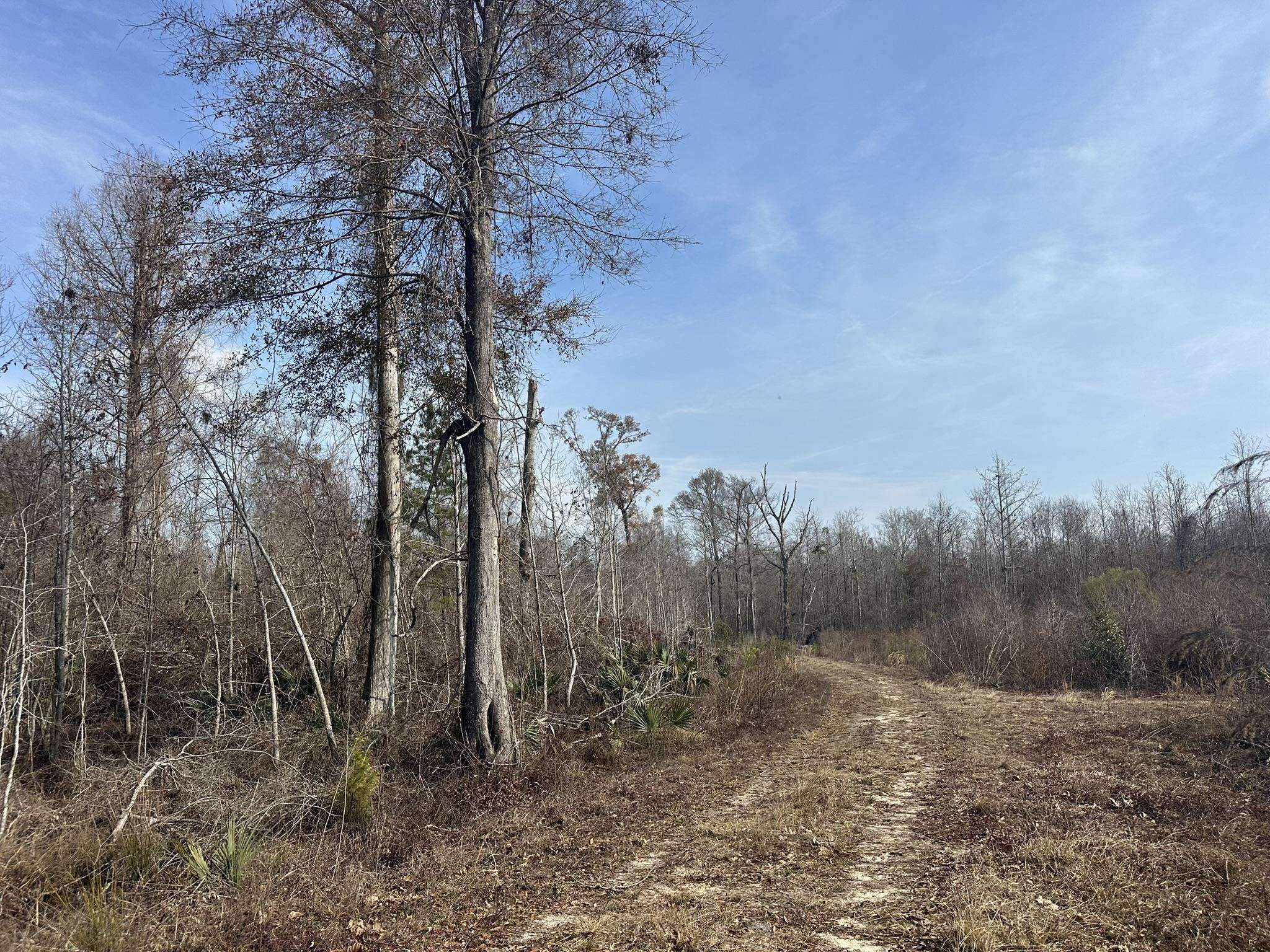 Tbd Hunters Chapel Rd Property Photo 50