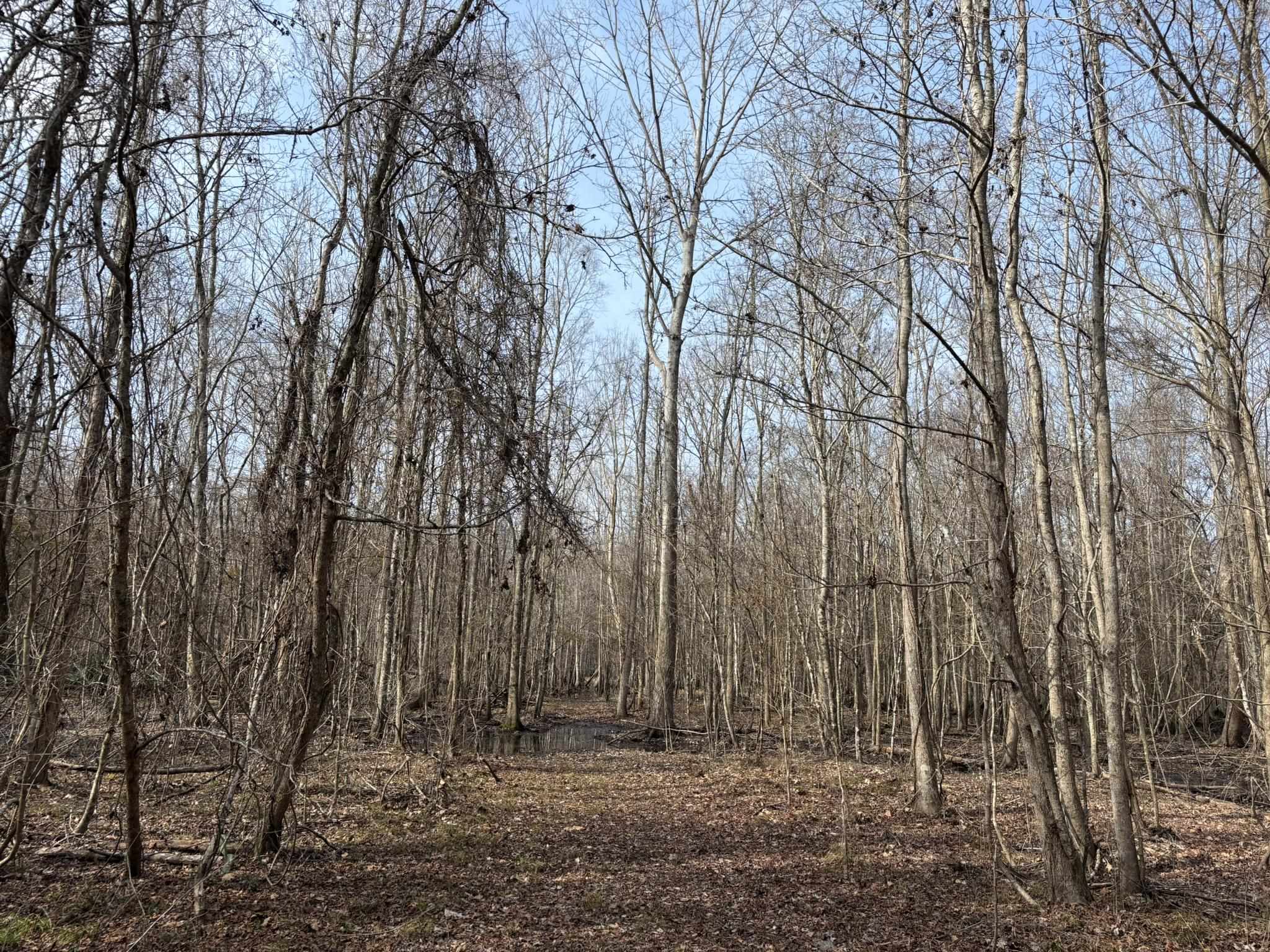 Tbd Hunters Chapel Rd Property Photo 51