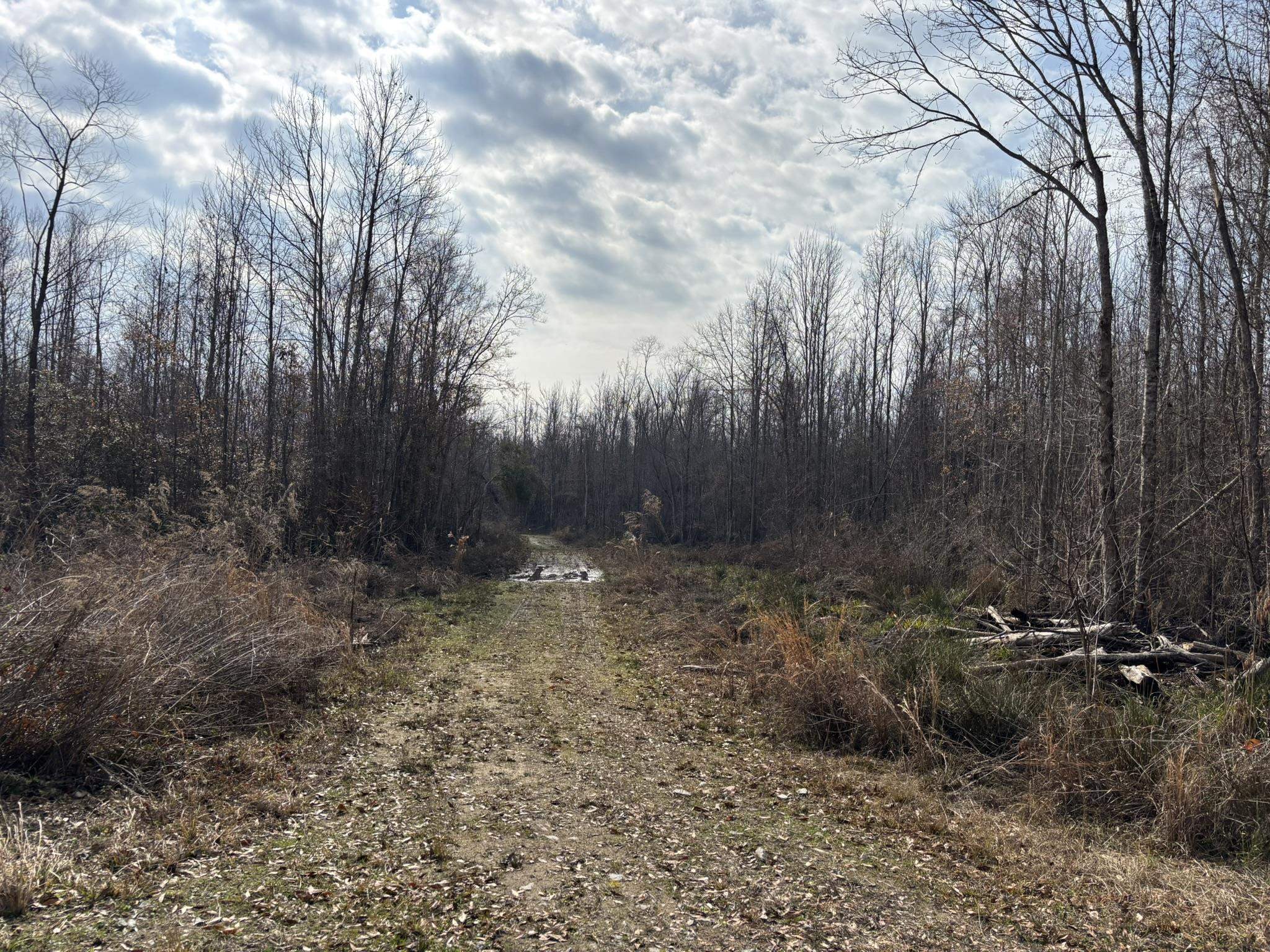 Tbd Hunters Chapel Rd Property Photo 52