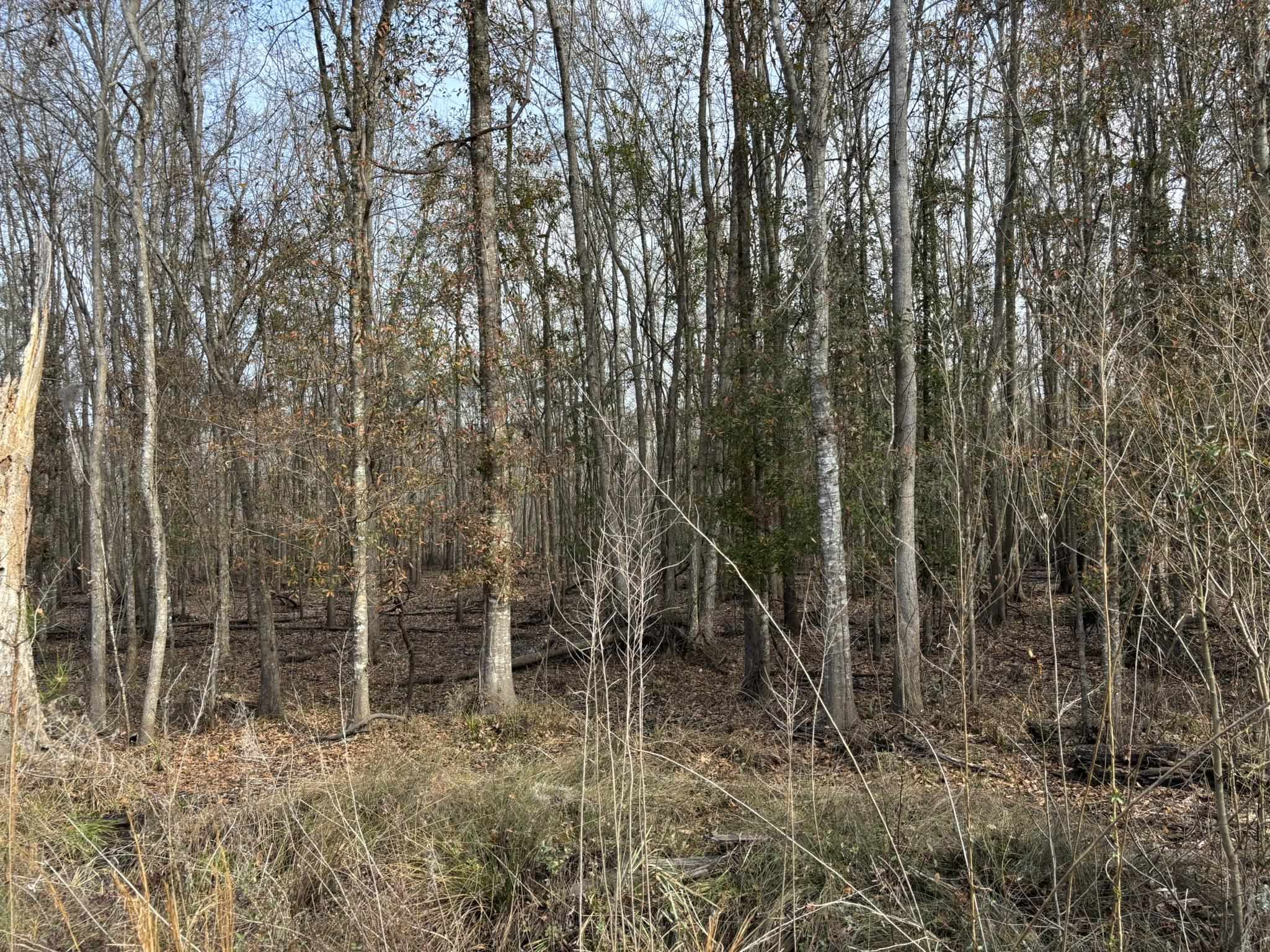 Tbd Hunters Chapel Rd Property Photo 53