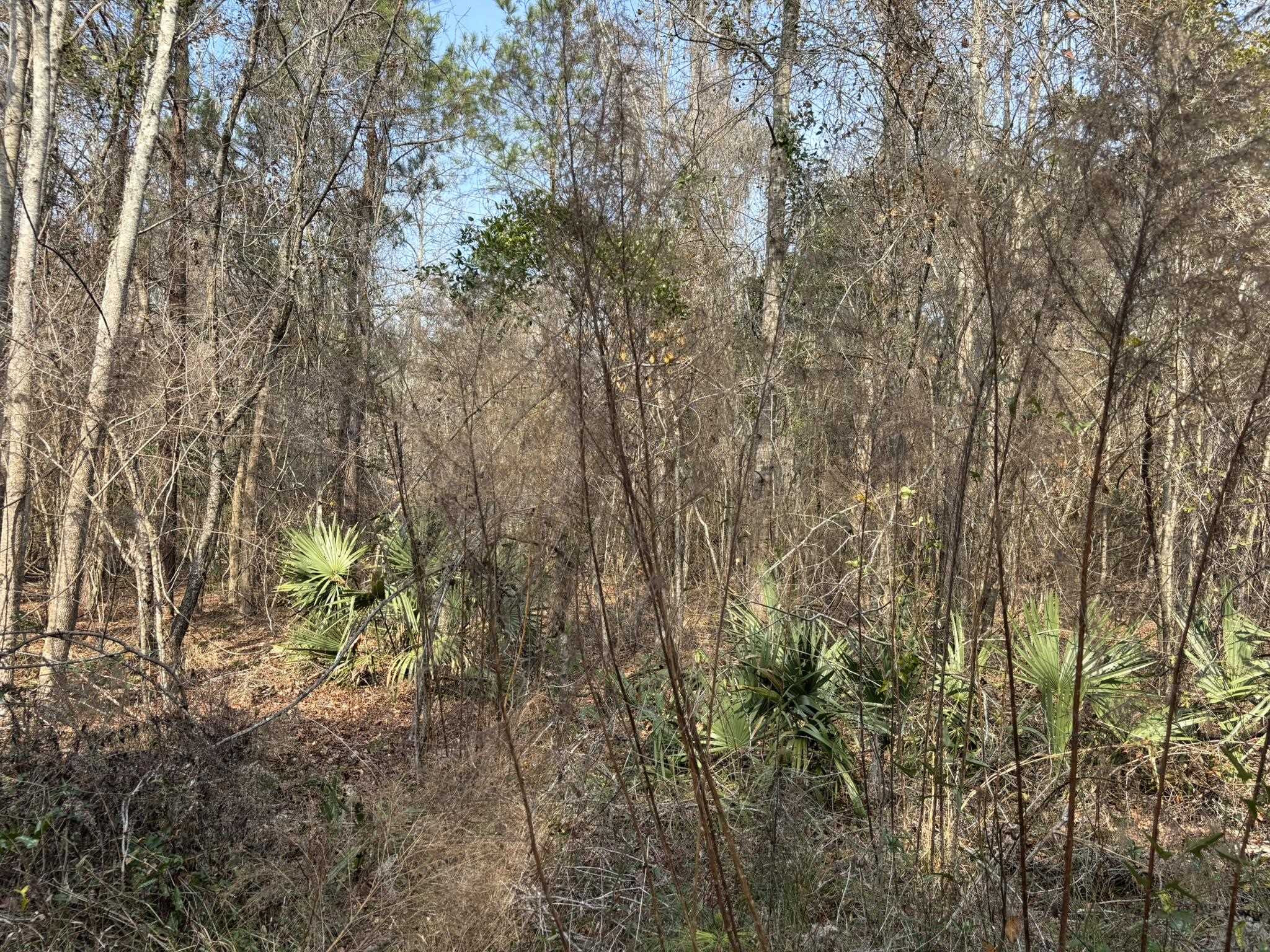 Tbd Hunters Chapel Rd Property Photo 54