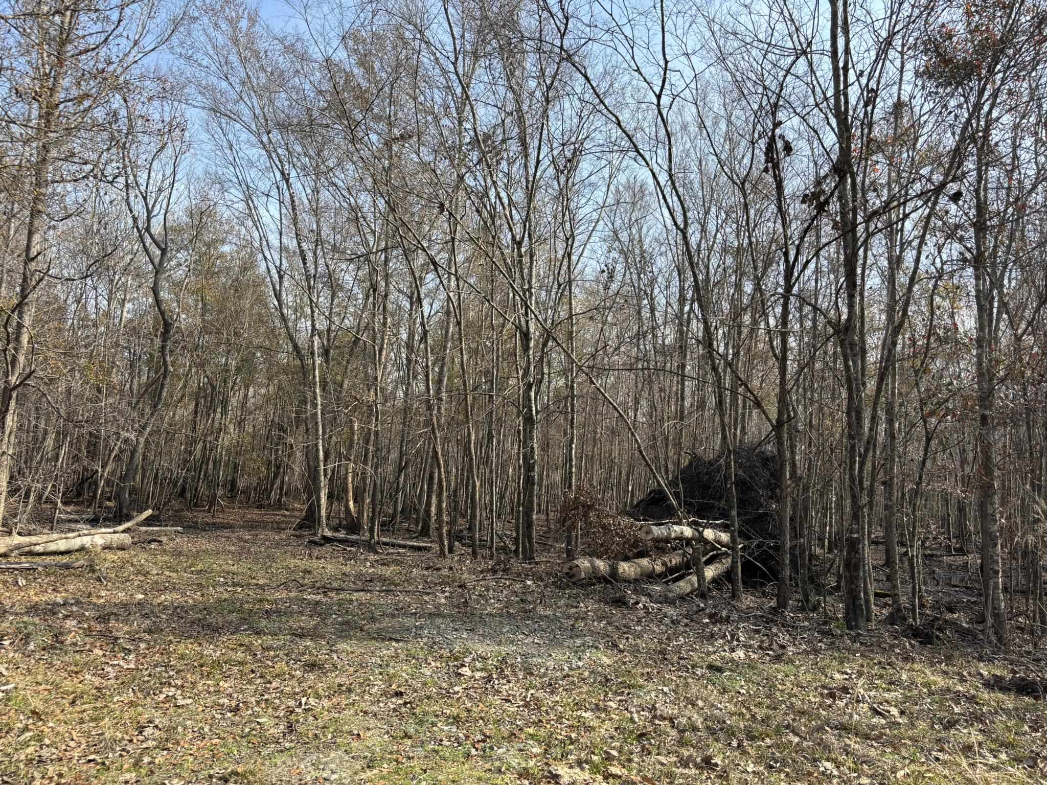 Tbd Hunters Chapel Rd Property Photo 56