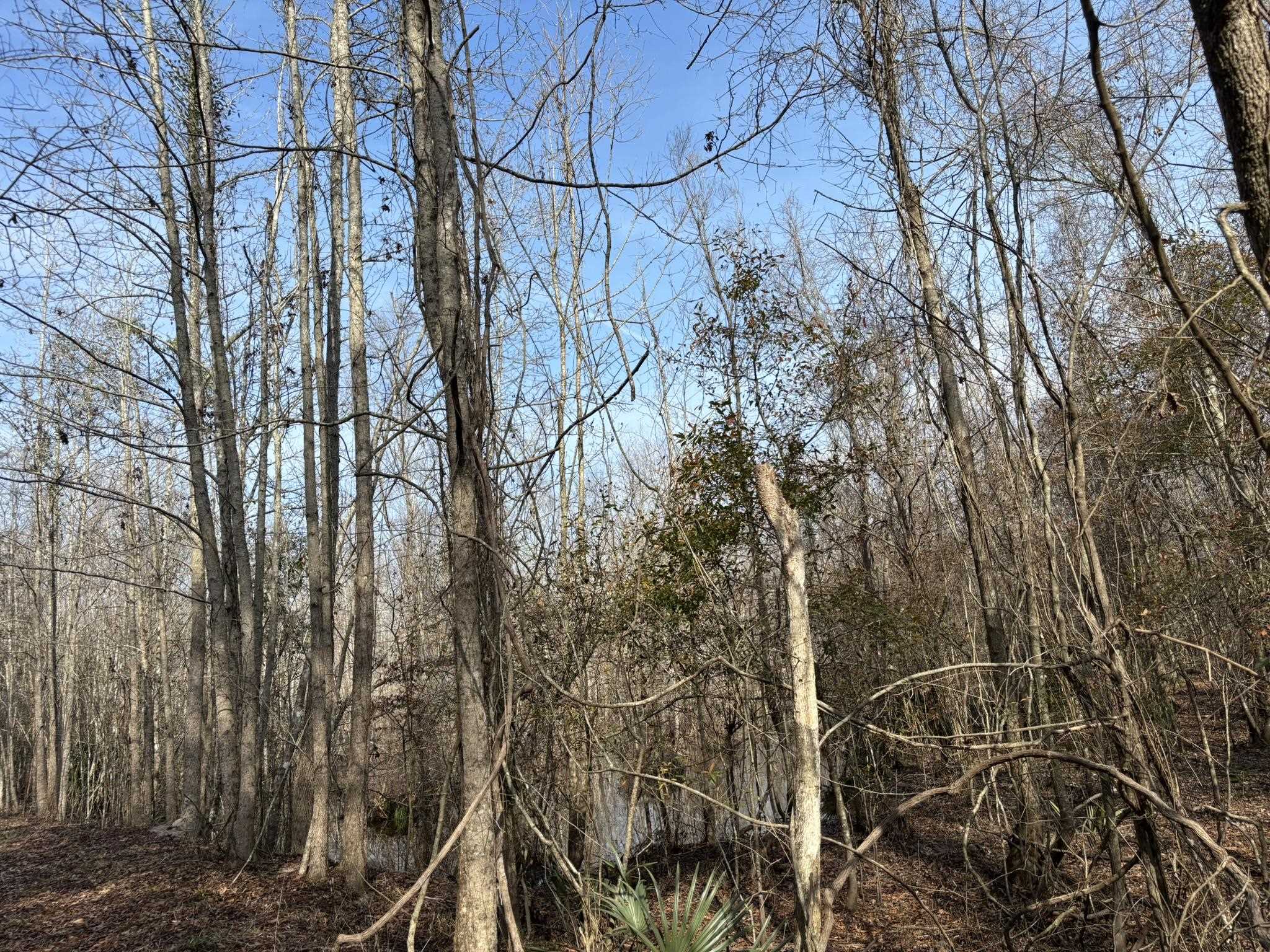 Tbd Hunters Chapel Rd Property Photo 57