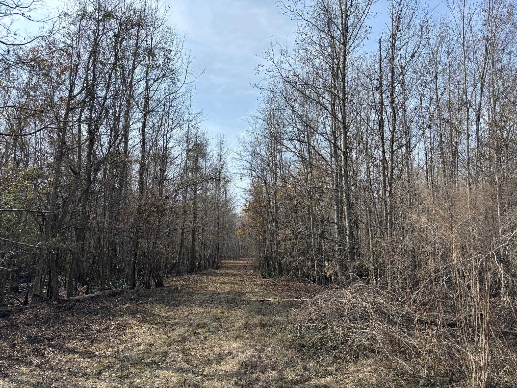 Tbd Hunters Chapel Rd Property Photo 58