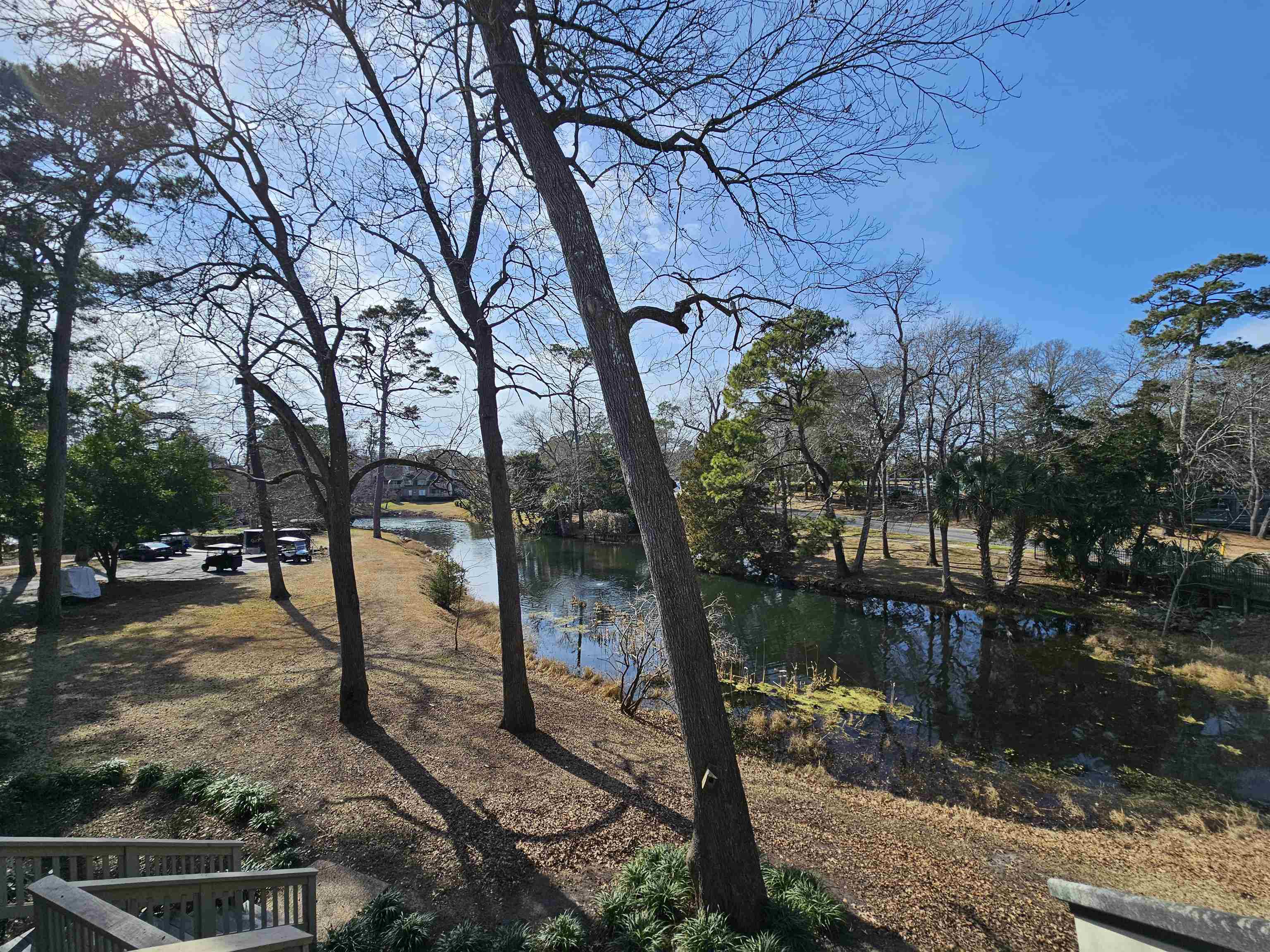204 Baslow Ct. Property Photo 3