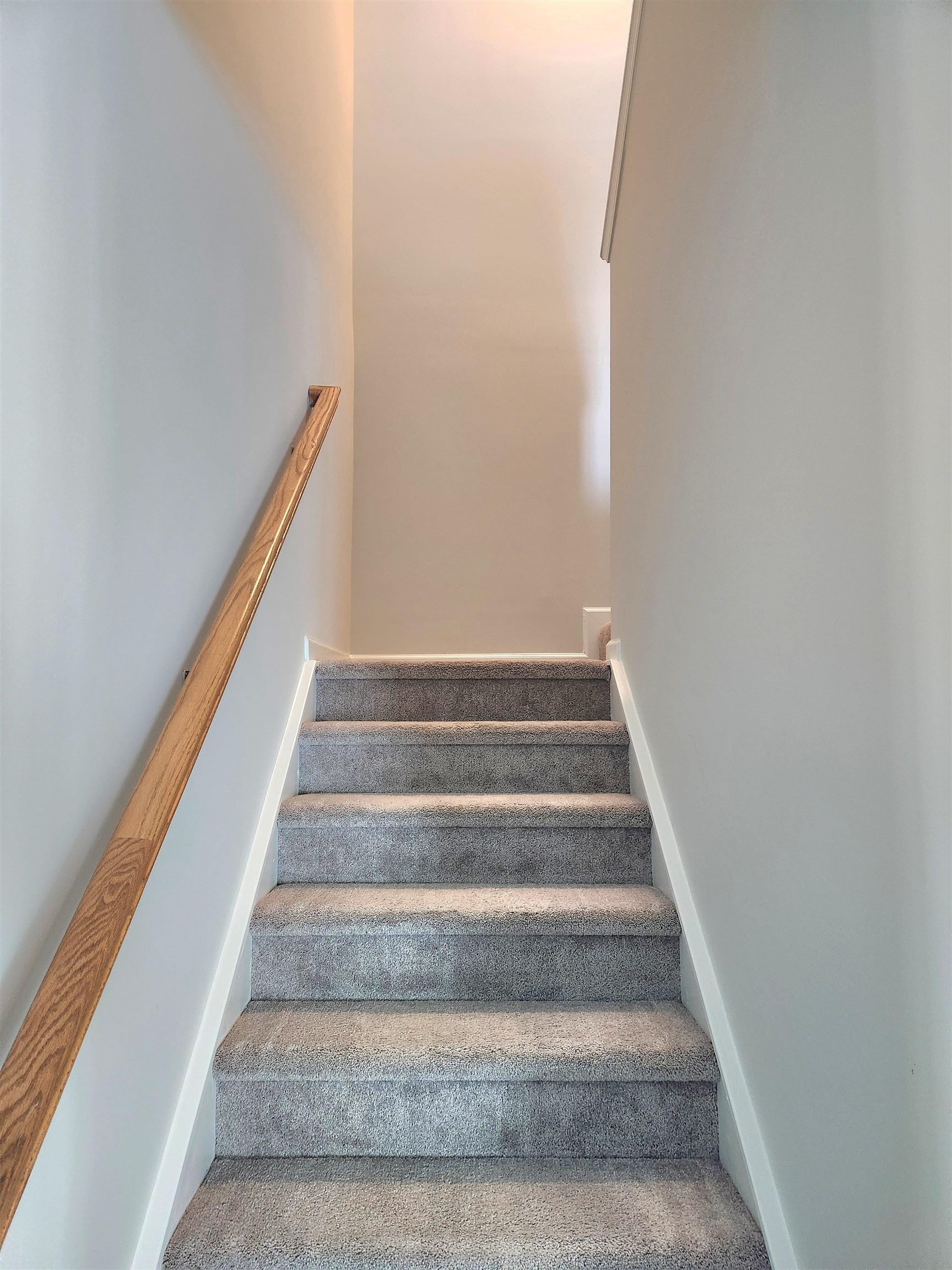 5788 Whitebark Dr. Property Photo 49