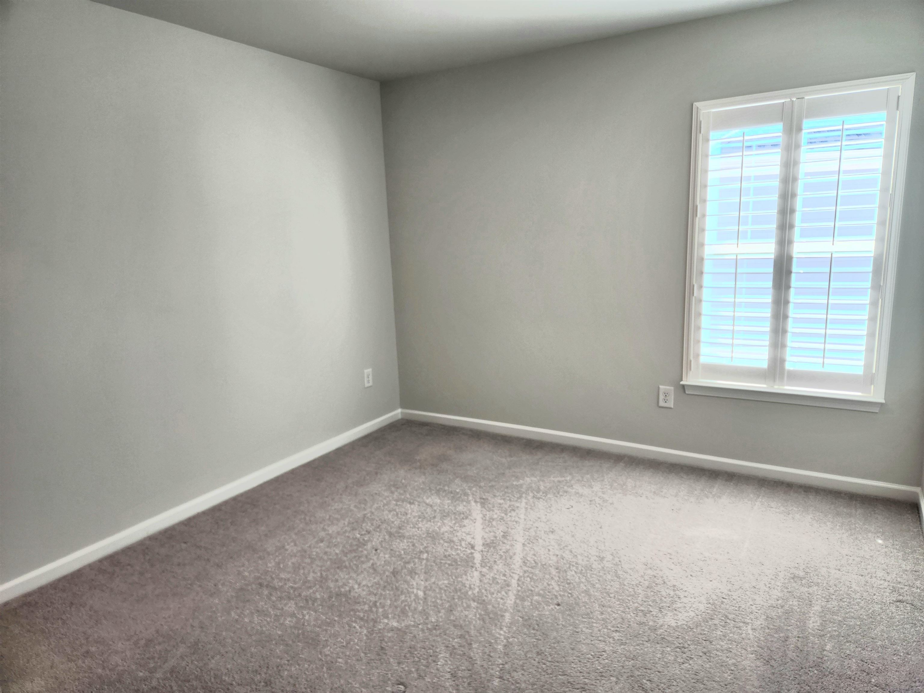 5788 Whitebark Dr. Property Photo 51