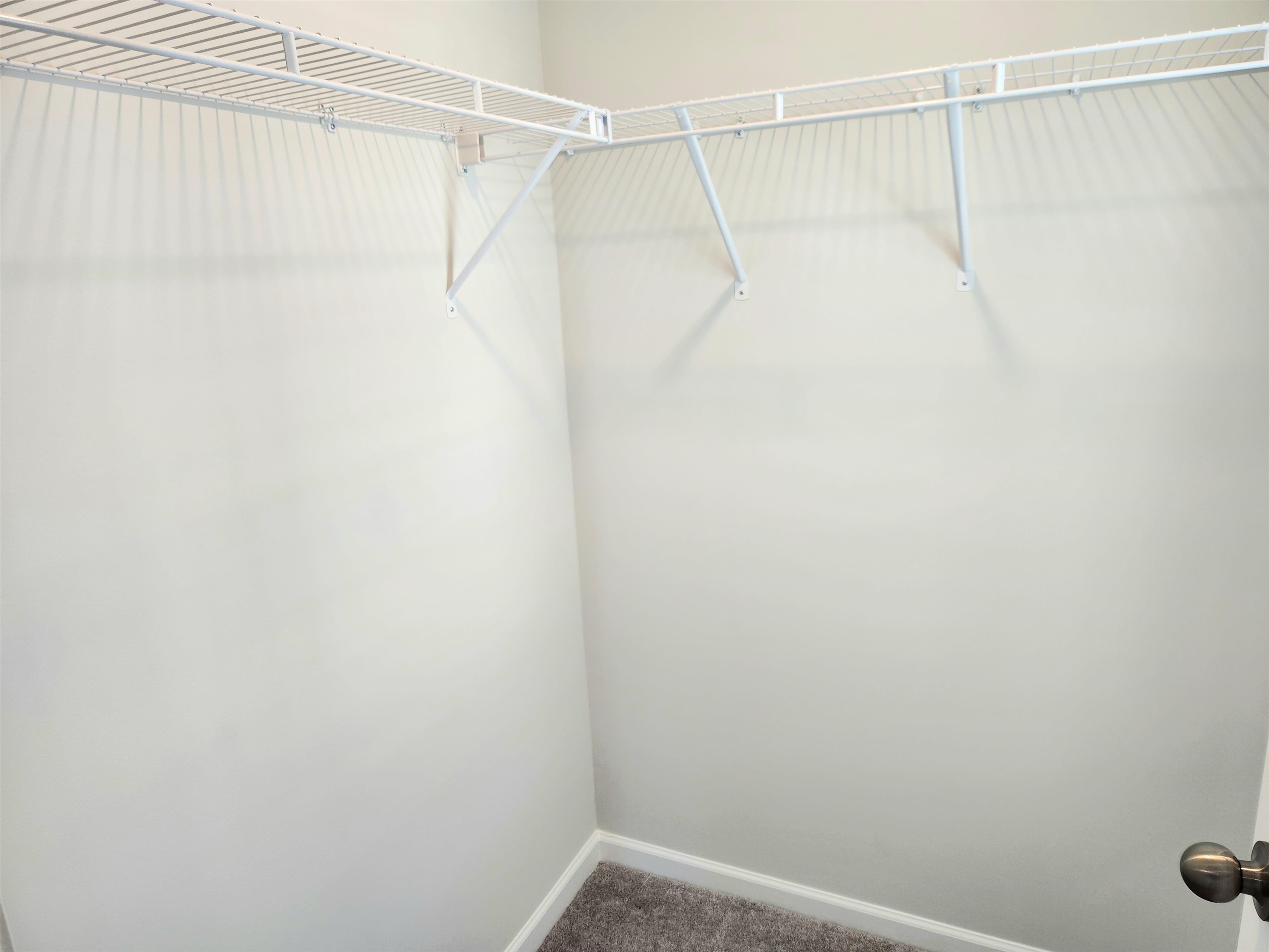 5788 Whitebark Dr. Property Photo 60