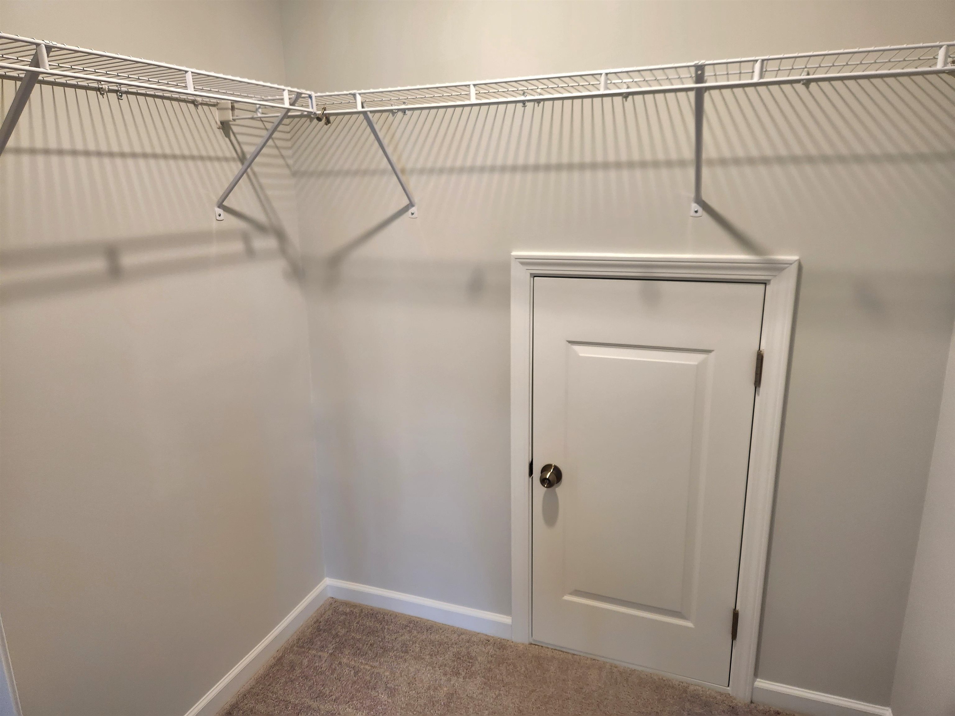 5788 Whitebark Dr. Property Photo 70