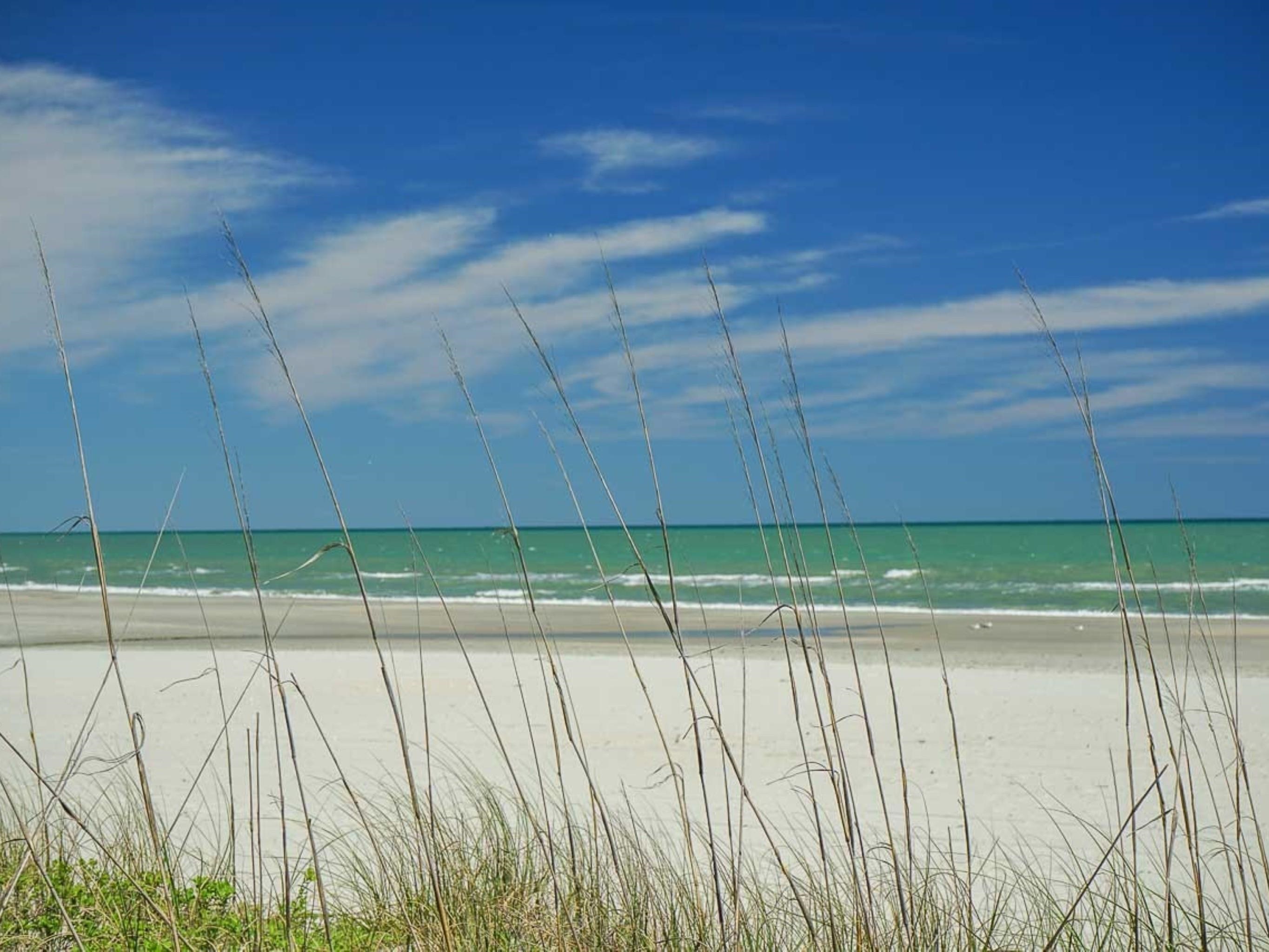 9994 Beach Club Dr. Property Photo 36