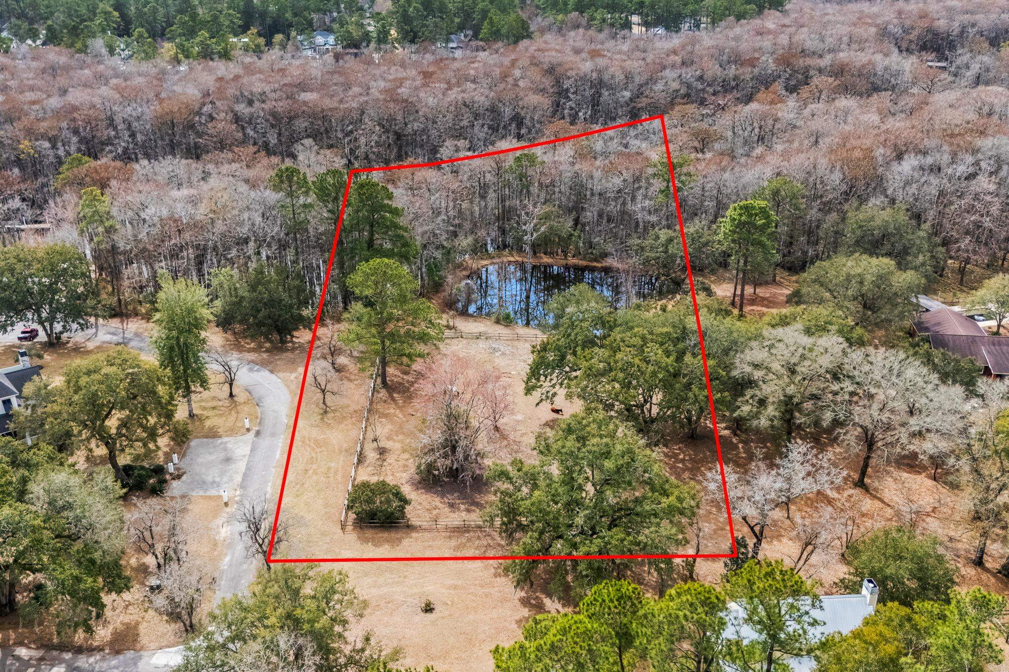Tbd Shadow Moss Ln. Property Photo 7