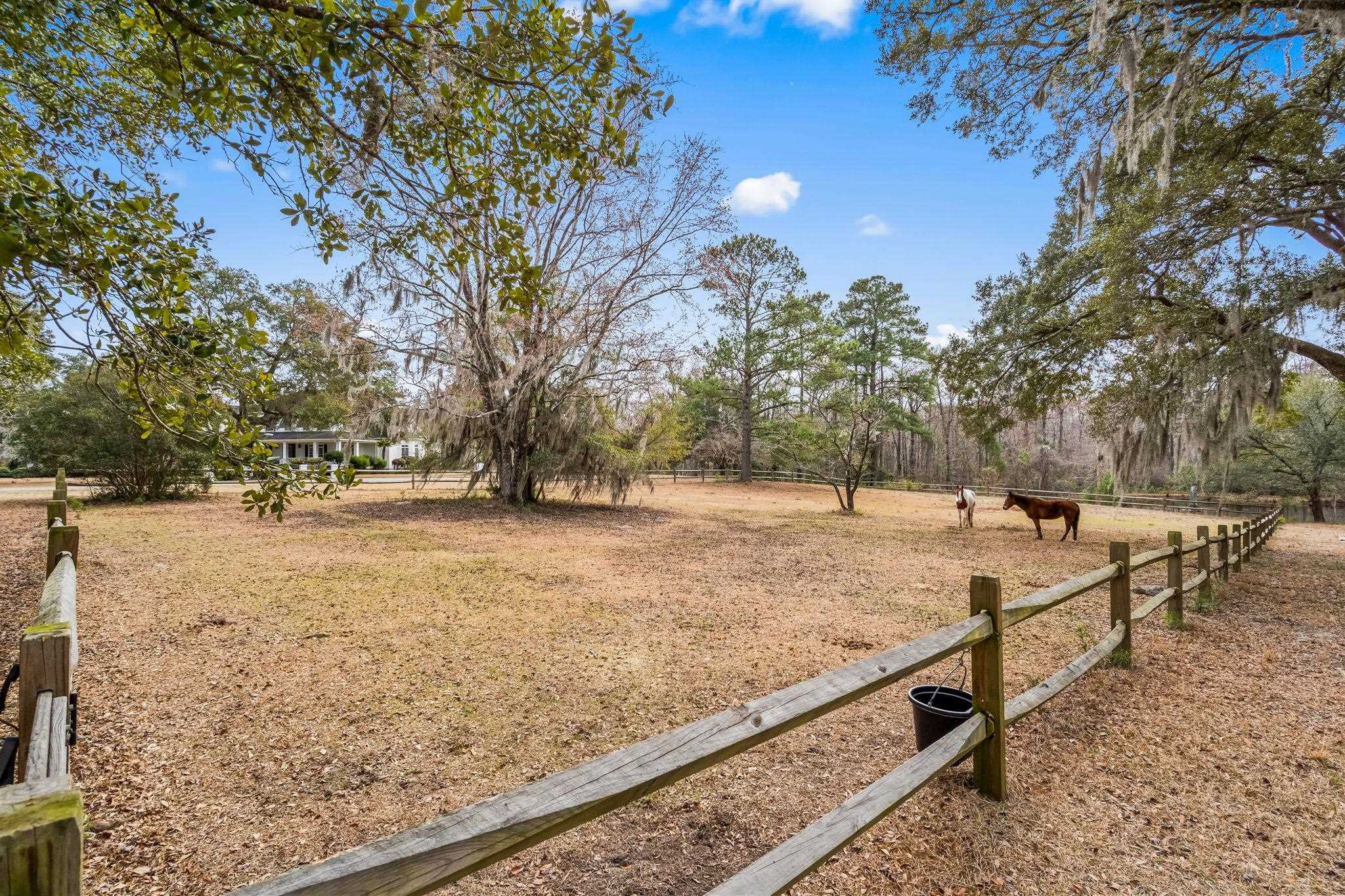 Tbd Shadow Moss Ln. Property Photo 17