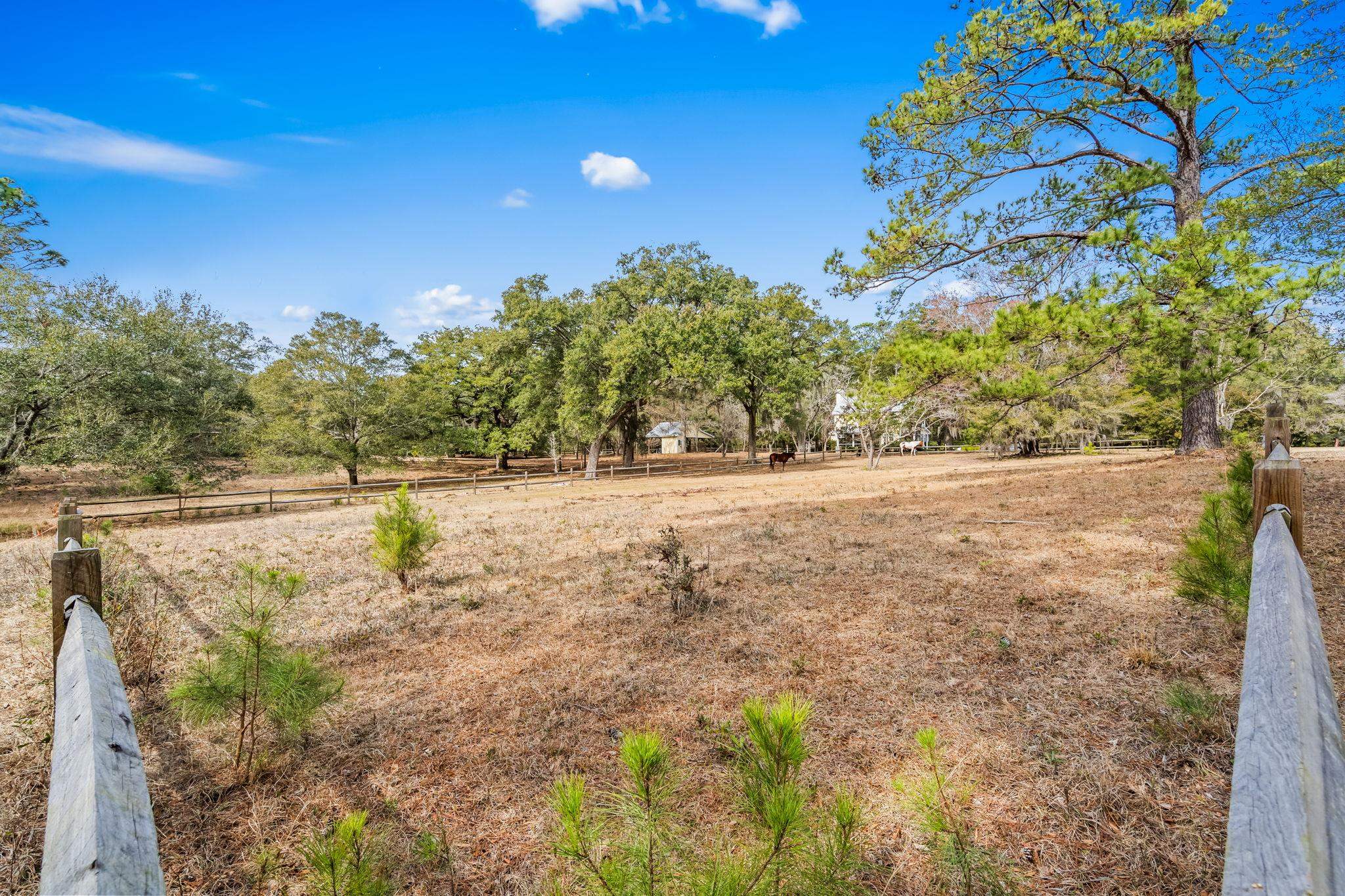 Tbd Shadow Moss Ln. Property Photo 18