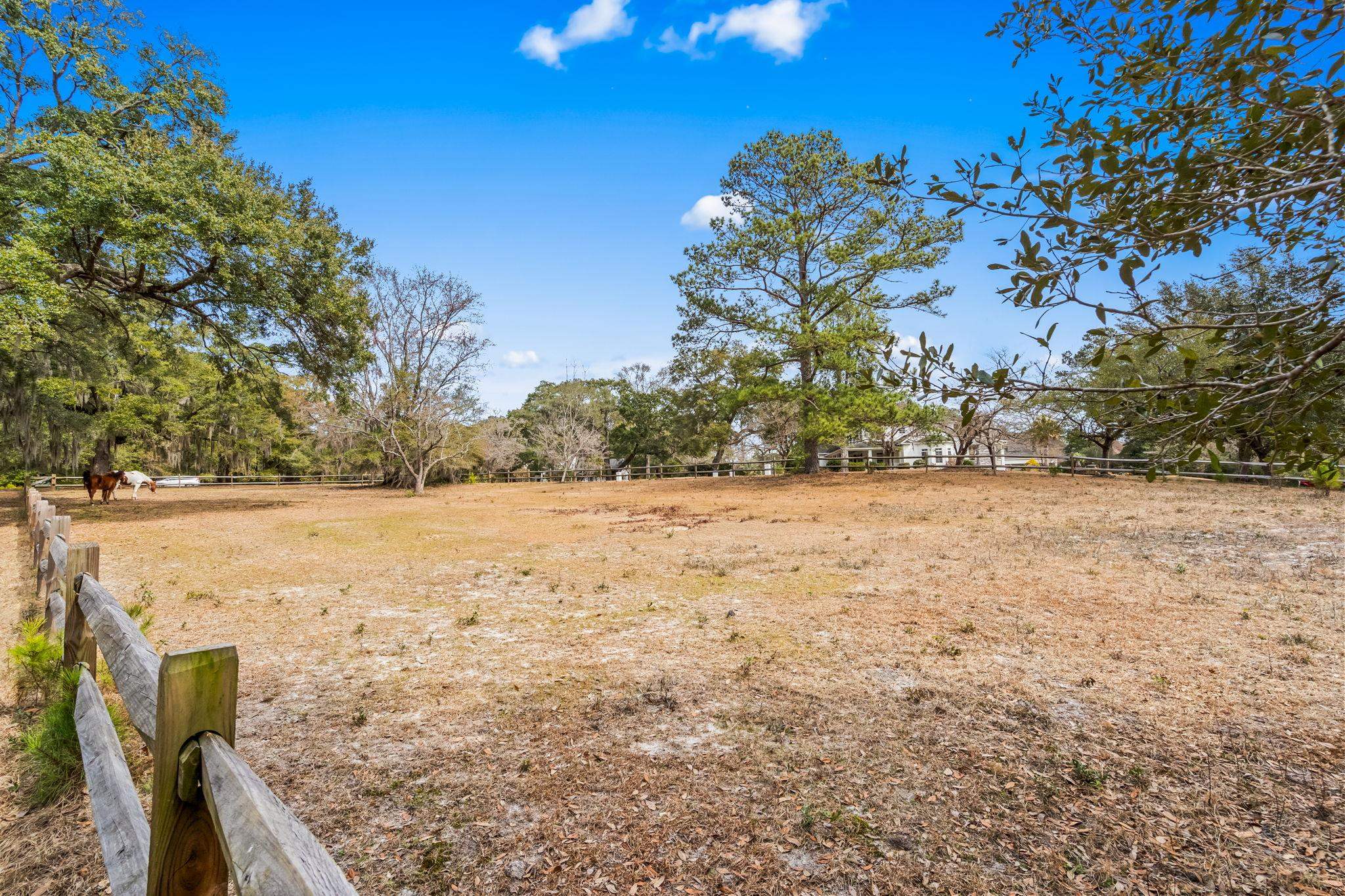 Tbd Shadow Moss Ln. Property Photo 19