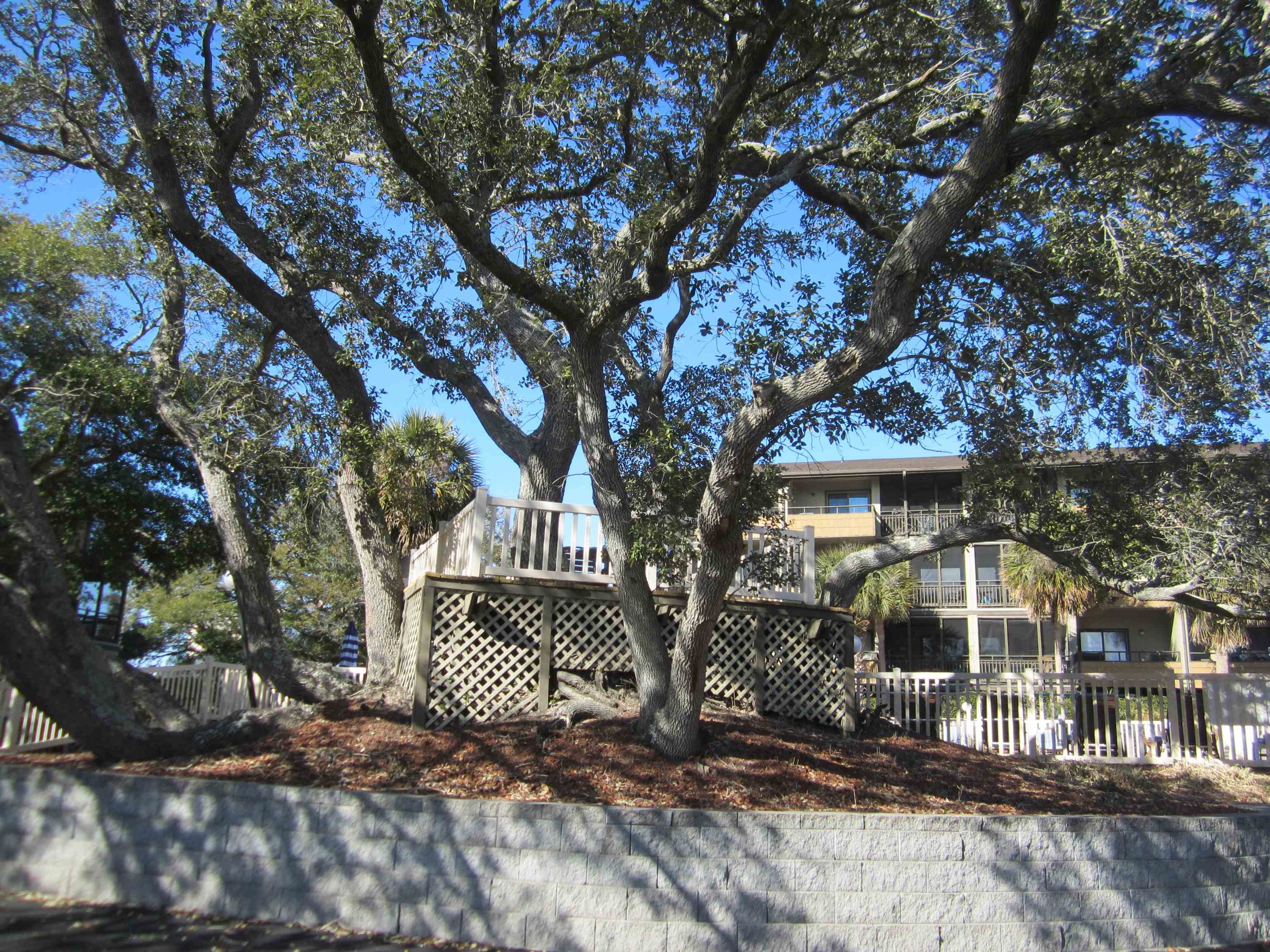 9501 Shore Dr. Property Photo 29