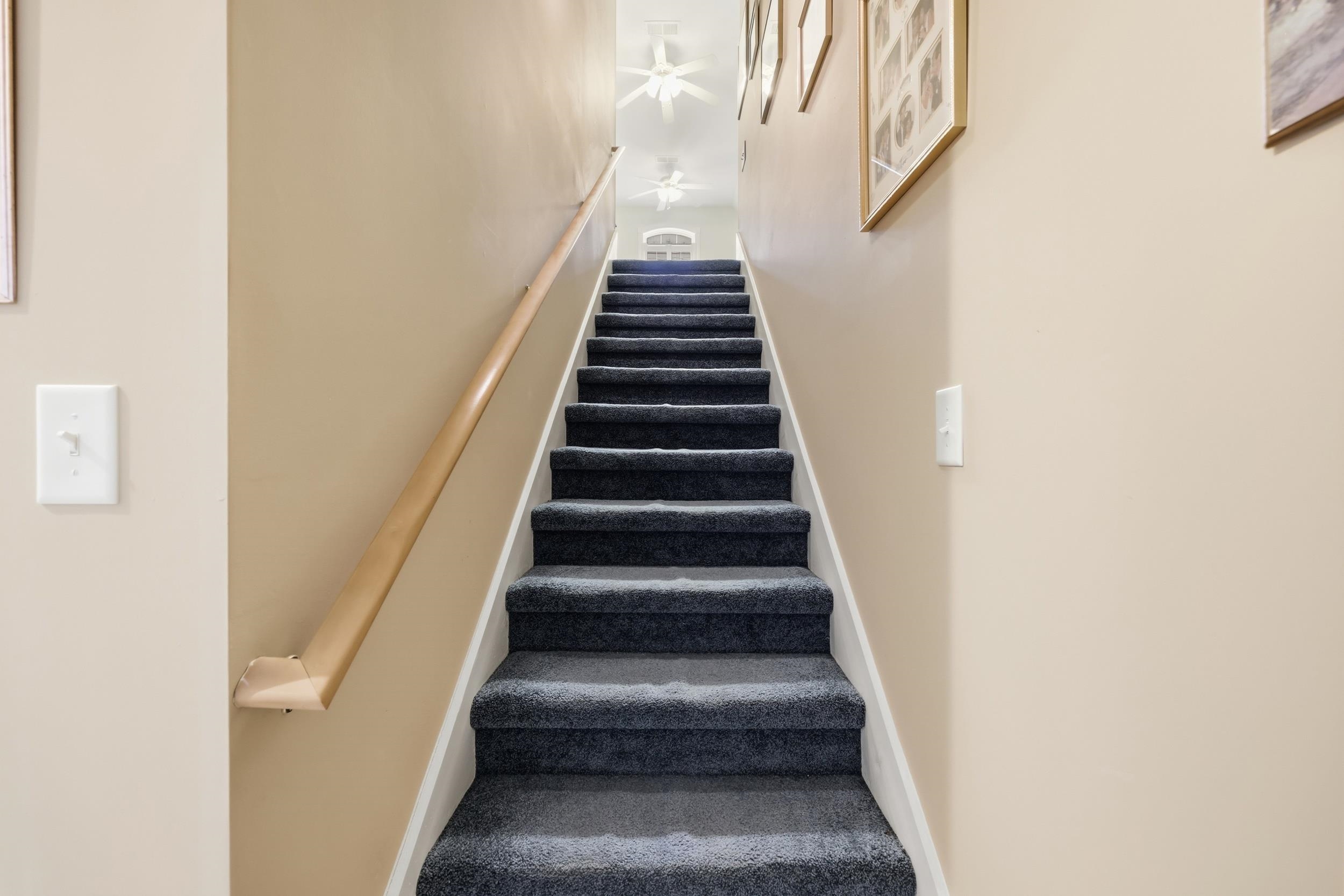 1216 Foxtail Dr. Property Photo 29