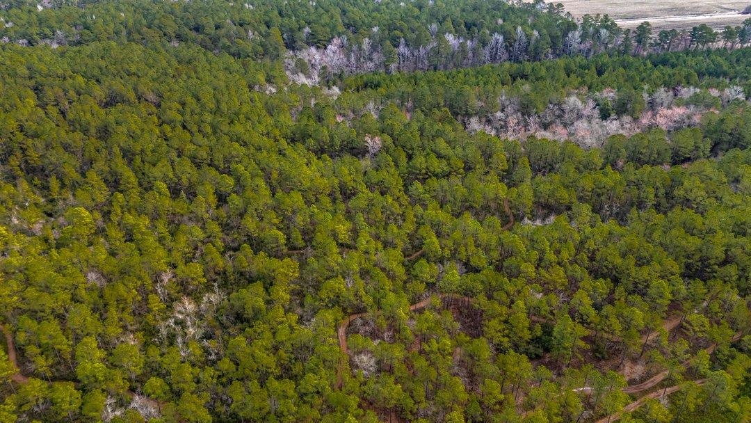 9060 Black Creek Rd. Property Photo 8