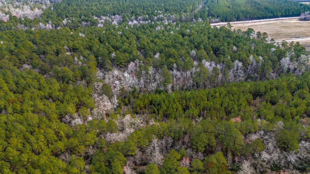 9060 Black Creek Rd. Property Photo 9