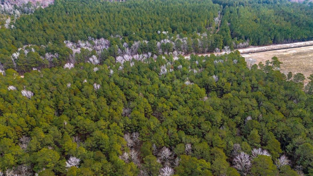 9060 Black Creek Rd. Property Photo 10