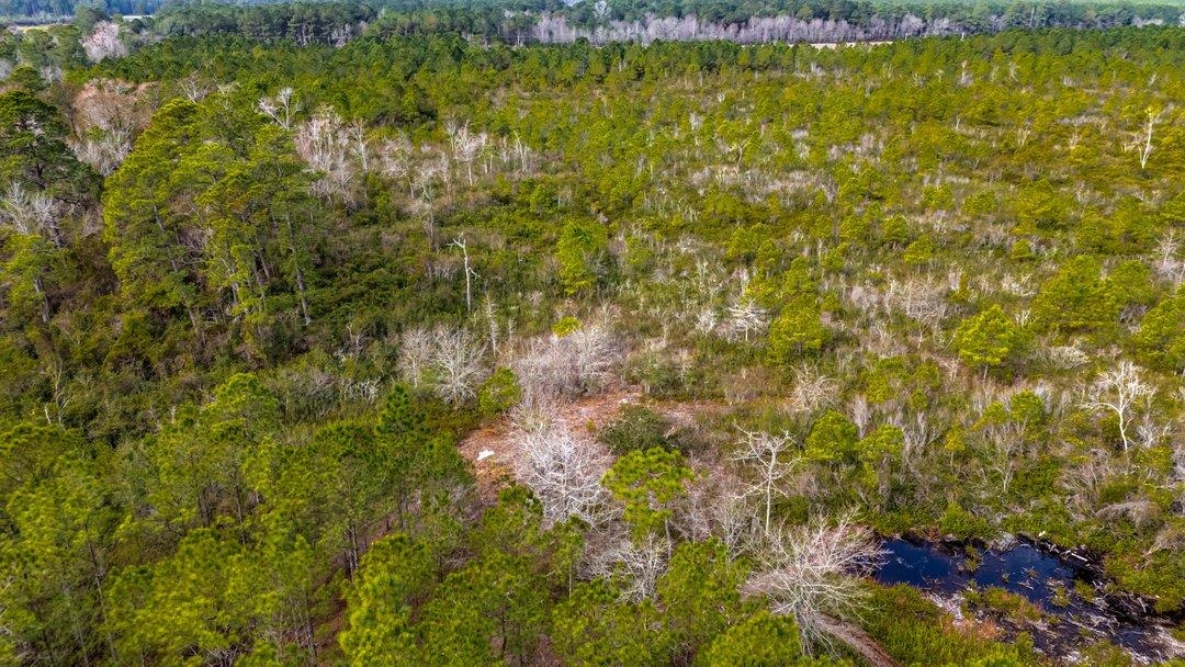 9060 Black Creek Rd. Property Photo 15