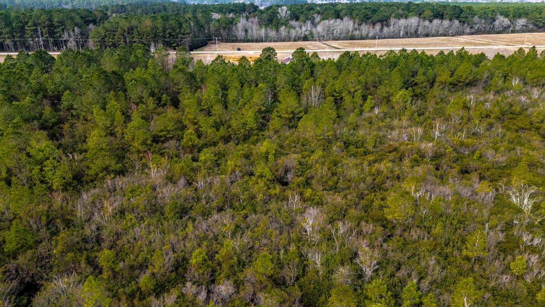 9060 Black Creek Rd. Property Photo 16