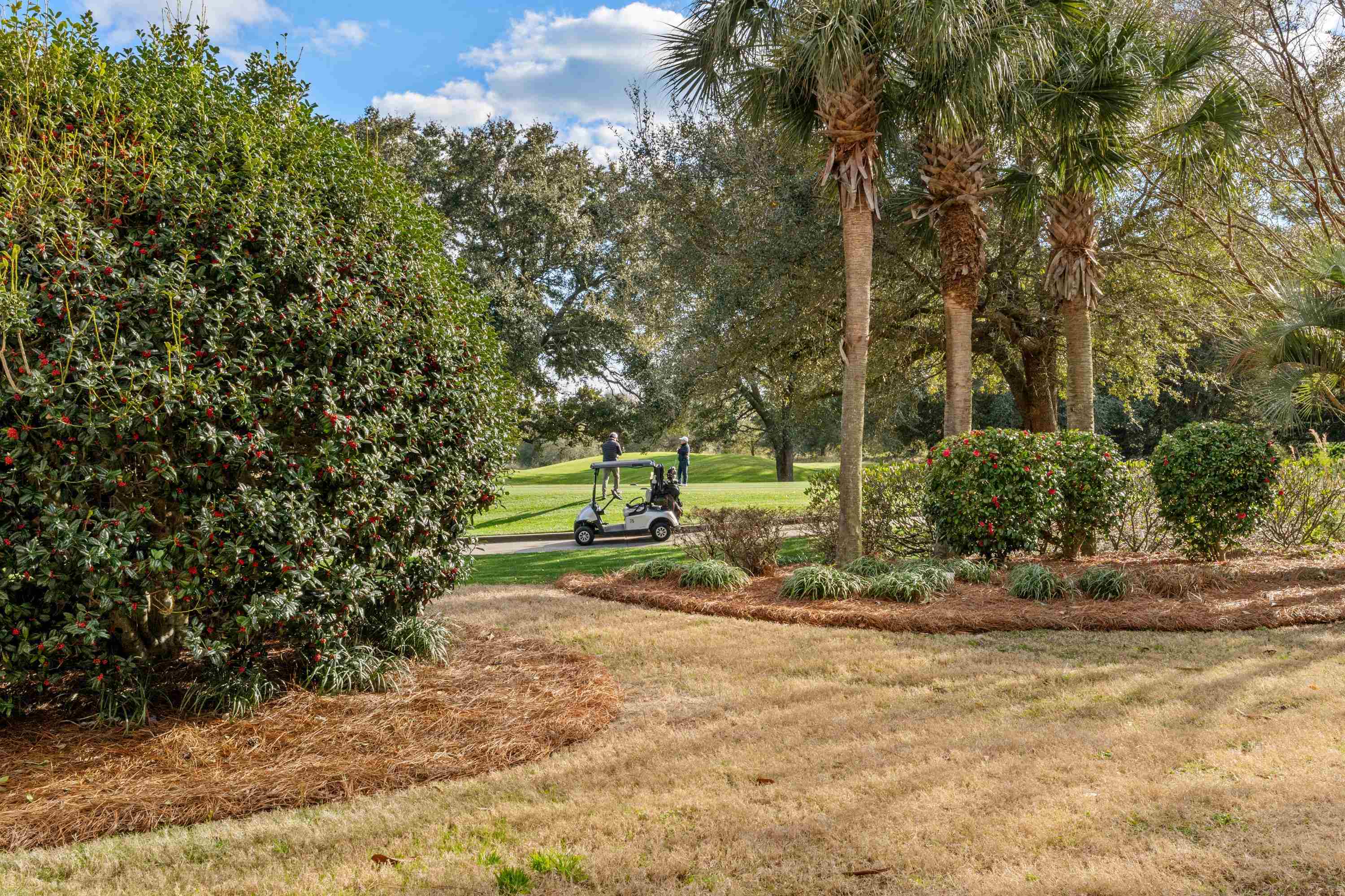 8546 San Marcello Dr. Property Photo 42