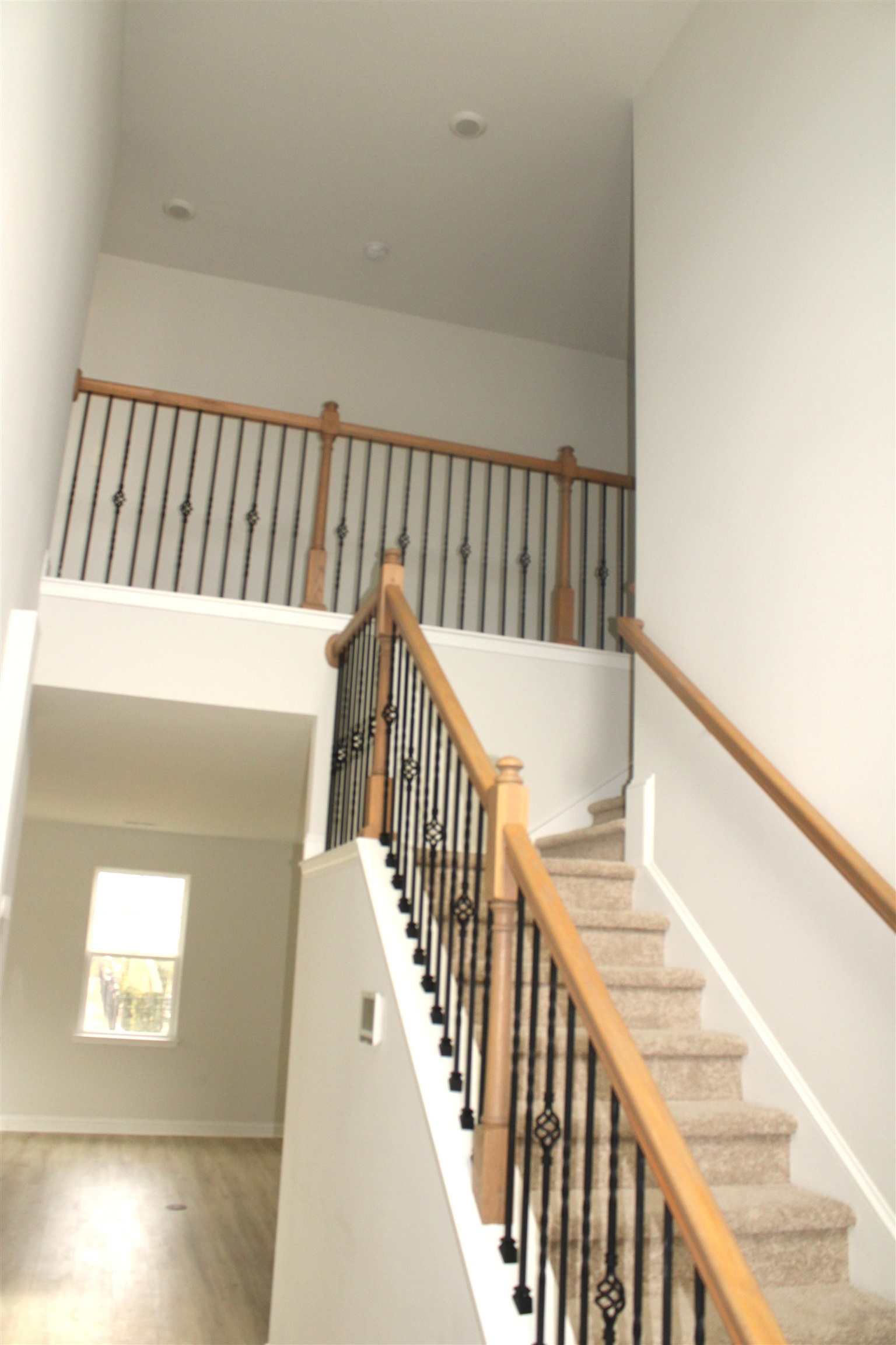 504 Patapsco St. Property Photo 9