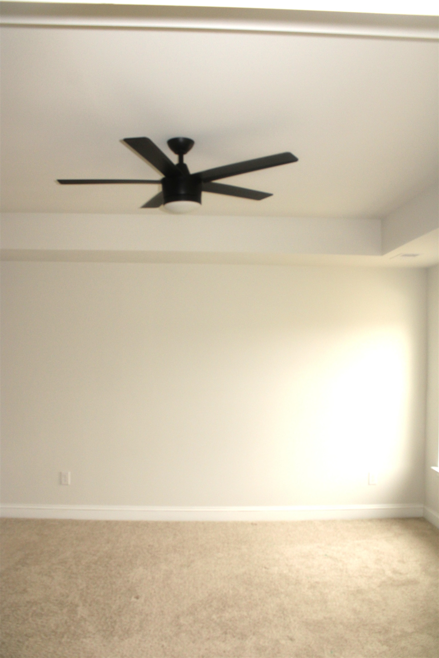 504 Patapsco St. Property Photo 22