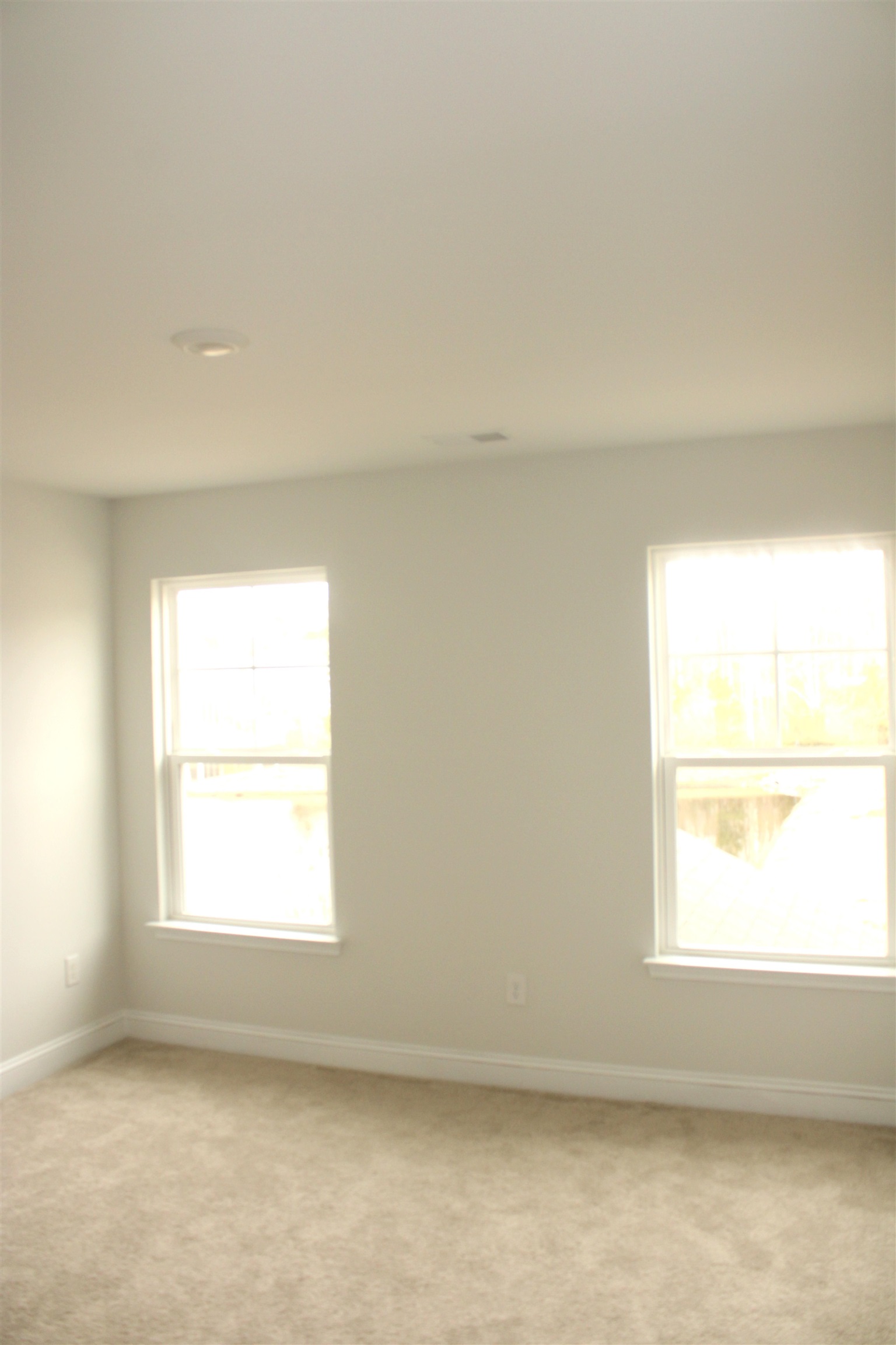 504 Patapsco St. Property Photo 25