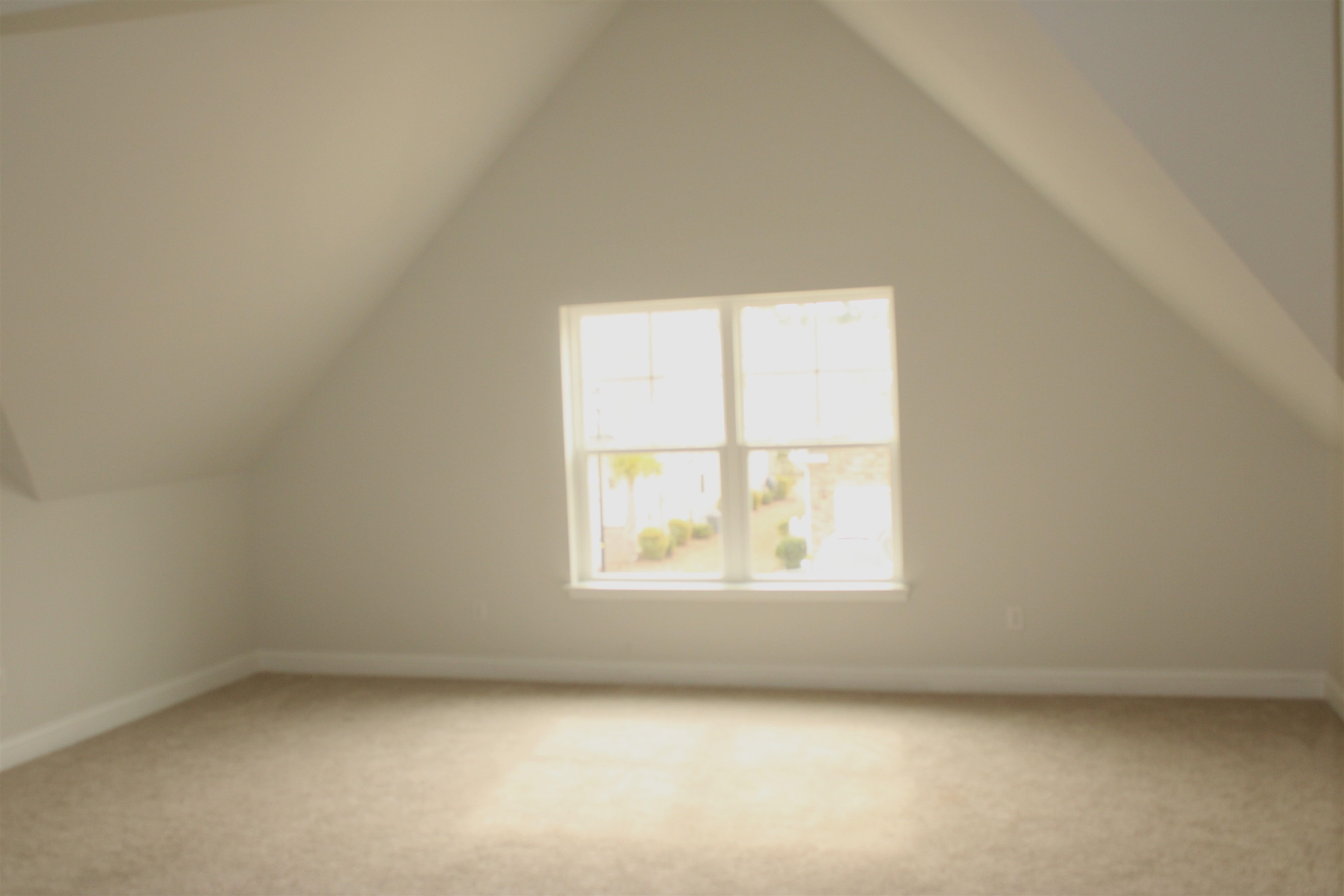 504 Patapsco St. Property Photo 29