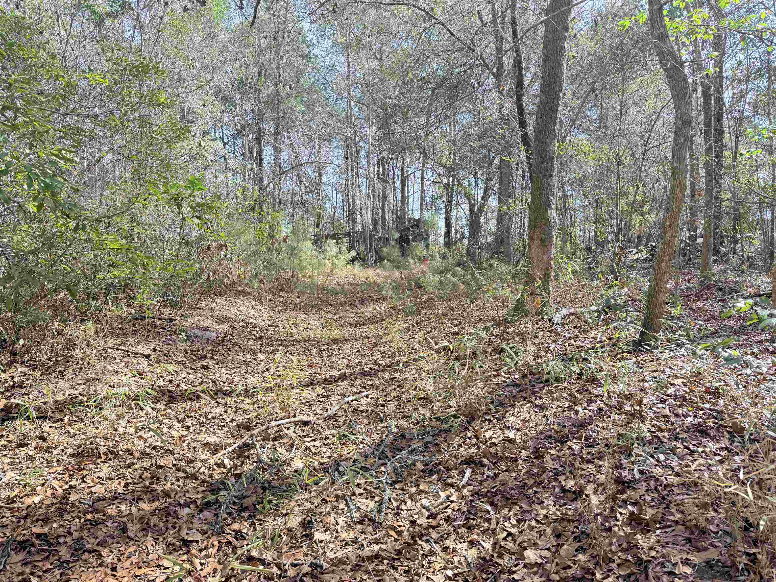 9.25 Acres Highway 9 Property Photo 16