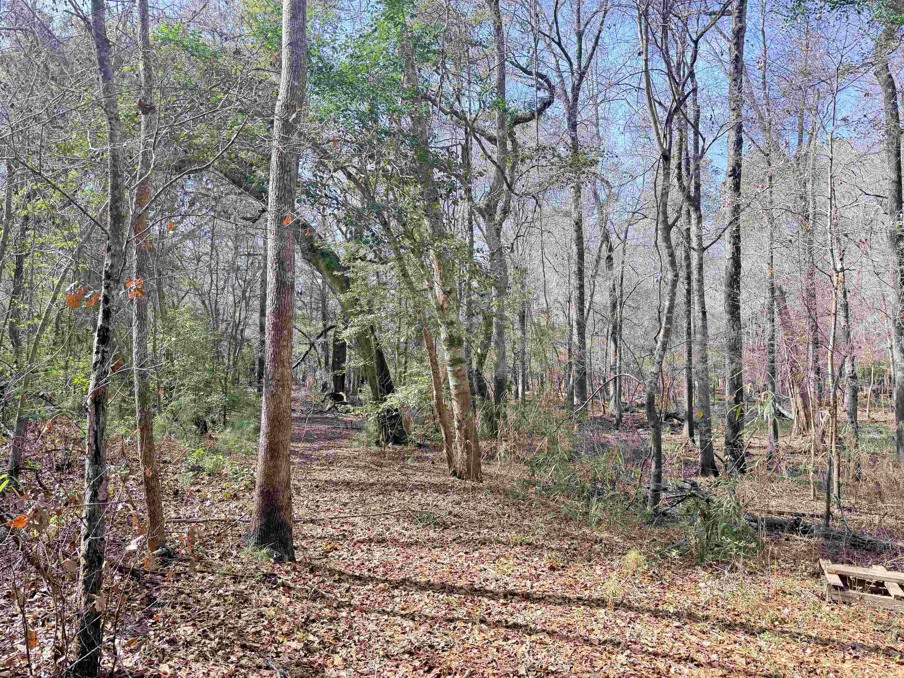 9.25 Acres Highway 9 Property Photo 17