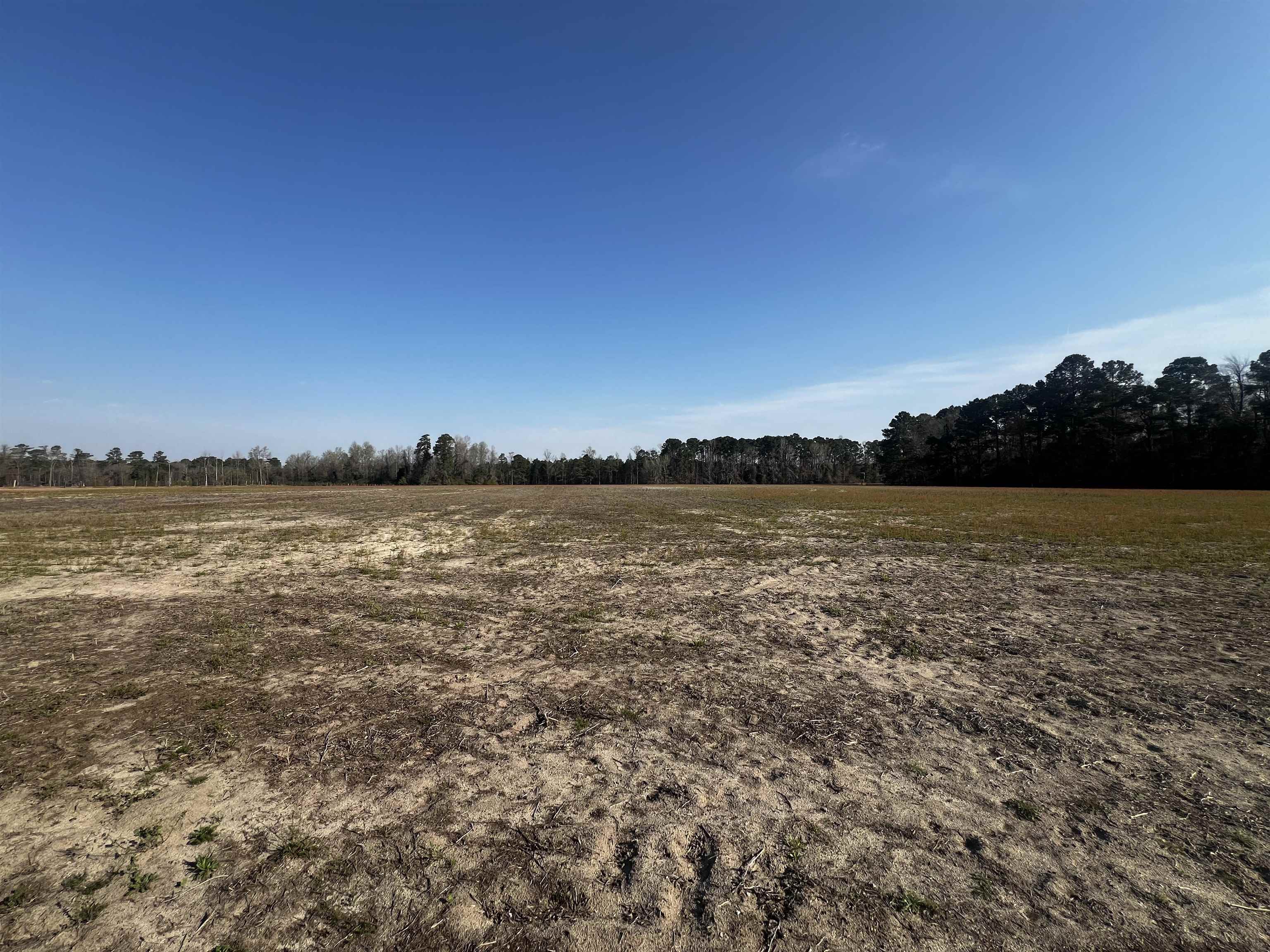 1901 Grainger Rd. Property Photo 6