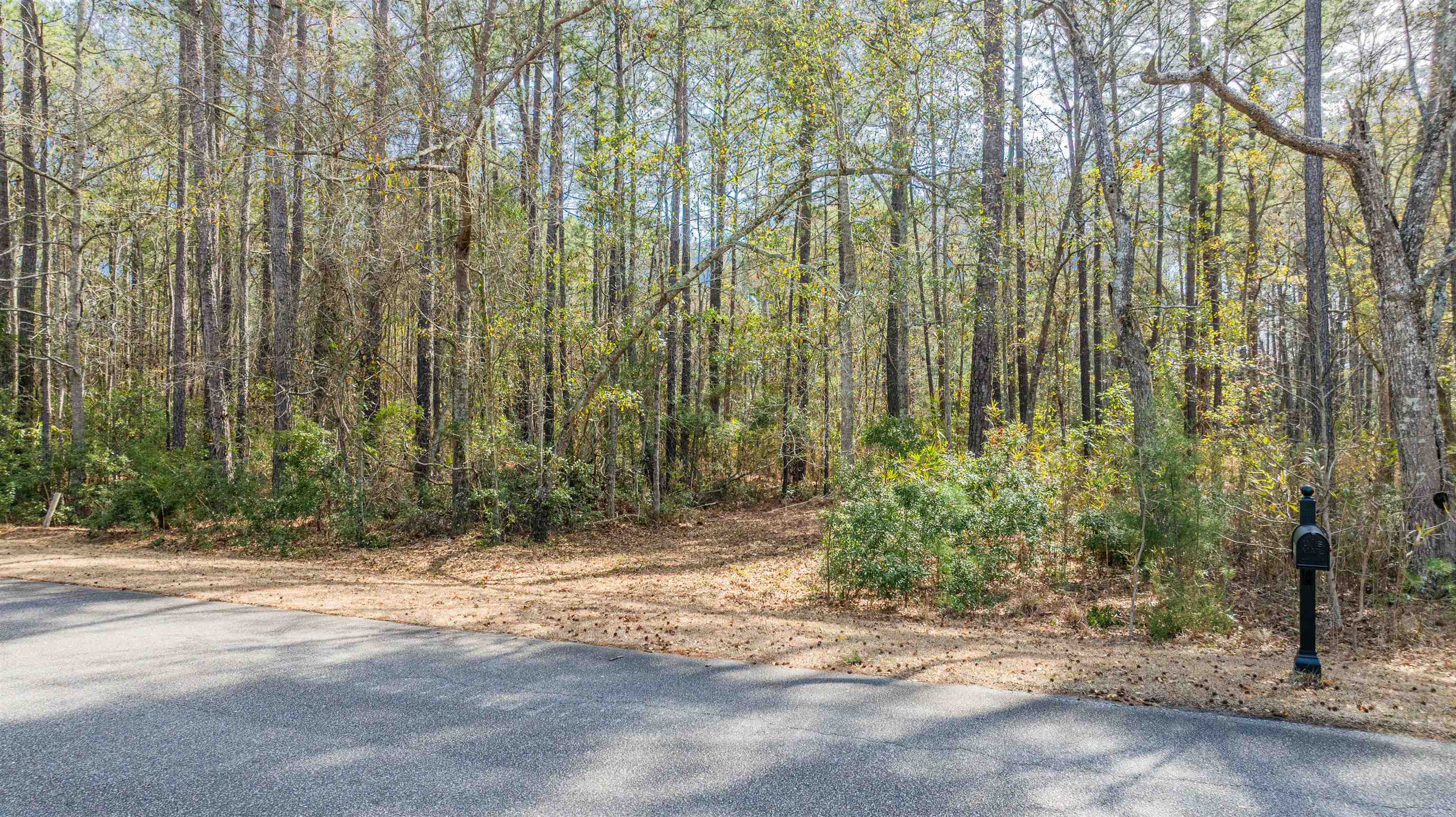 2630 Vanderbilt Blvd. Property Photo 12