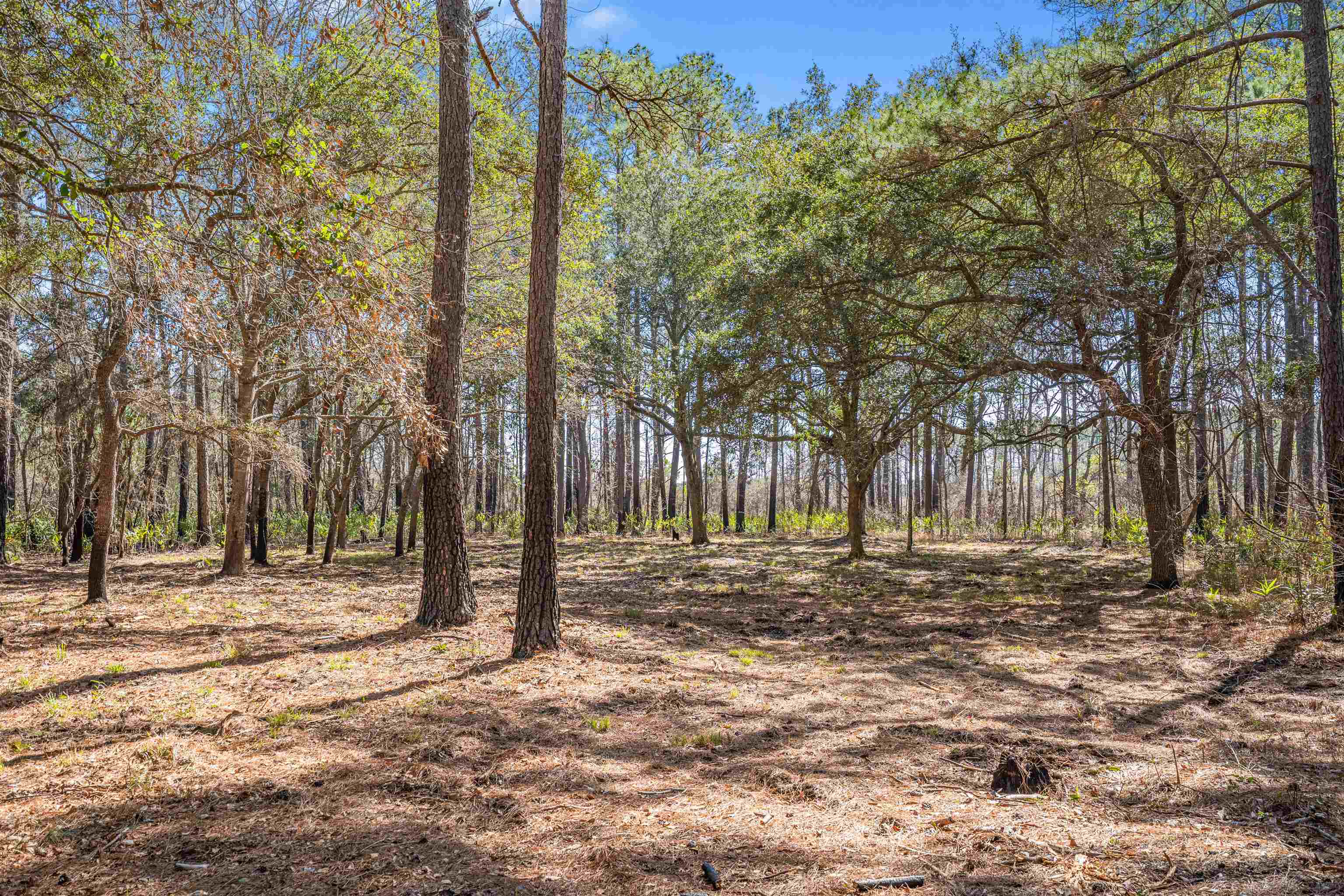 2630 Vanderbilt Blvd. Property Photo 13