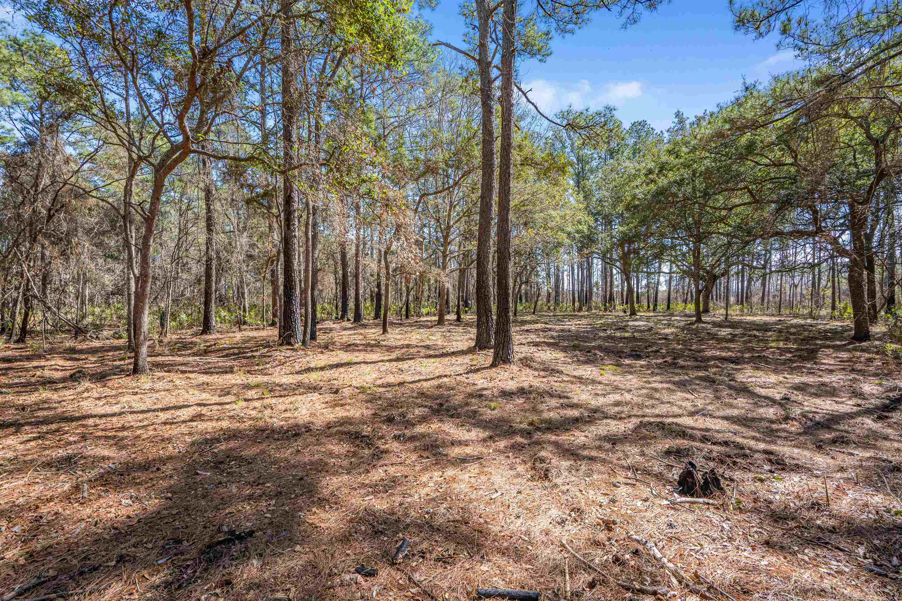 2630 Vanderbilt Blvd. Property Photo 14