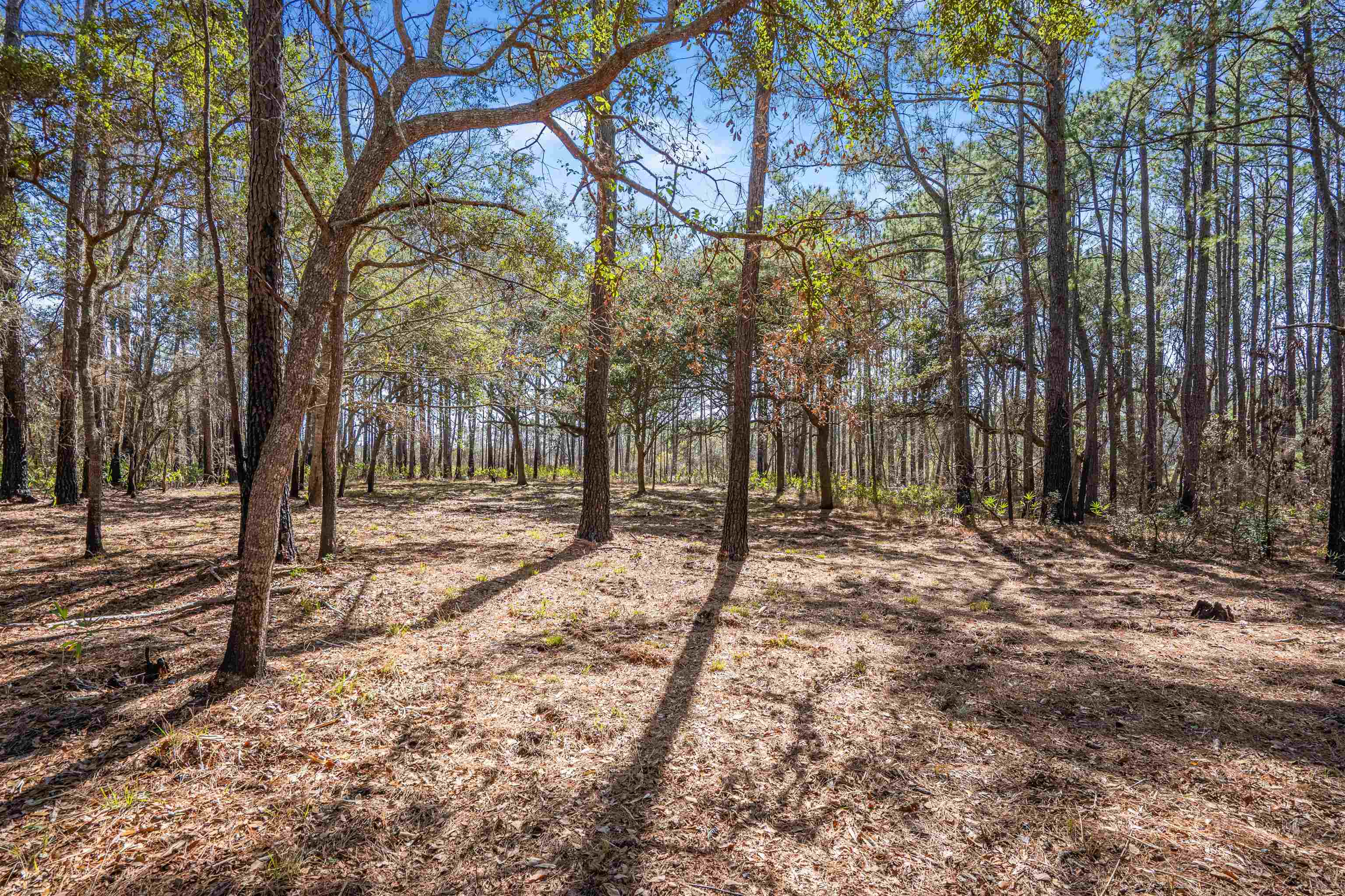 2630 Vanderbilt Blvd. Property Photo 15