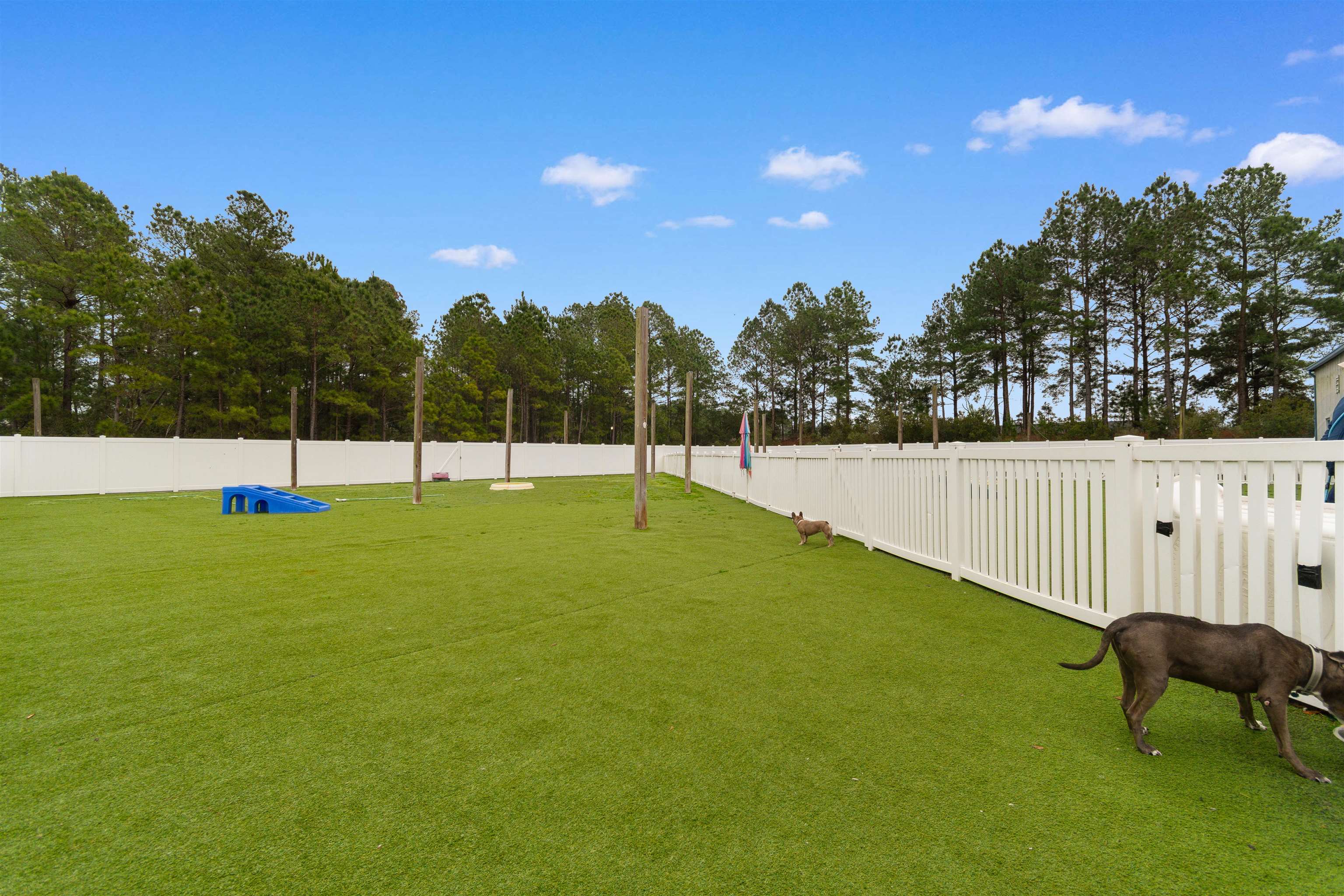 501 Myrtle Ridge Dr. Property Photo 23