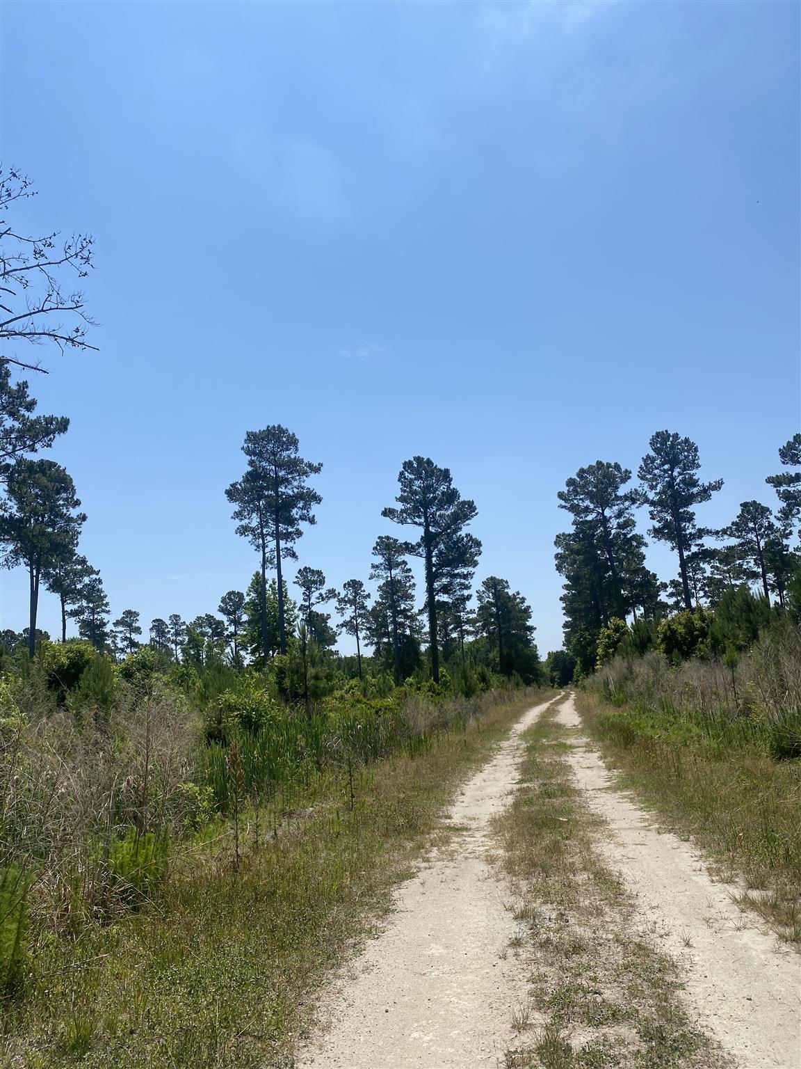 Tbd Water Tower Rd. Property Photo 10
