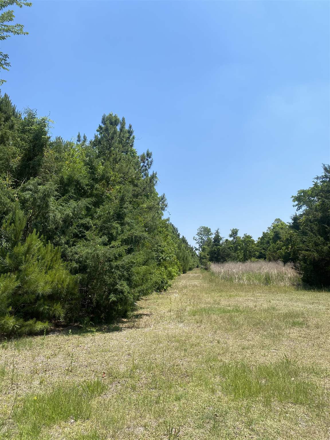 Tbd Water Tower Rd. Property Photo 14