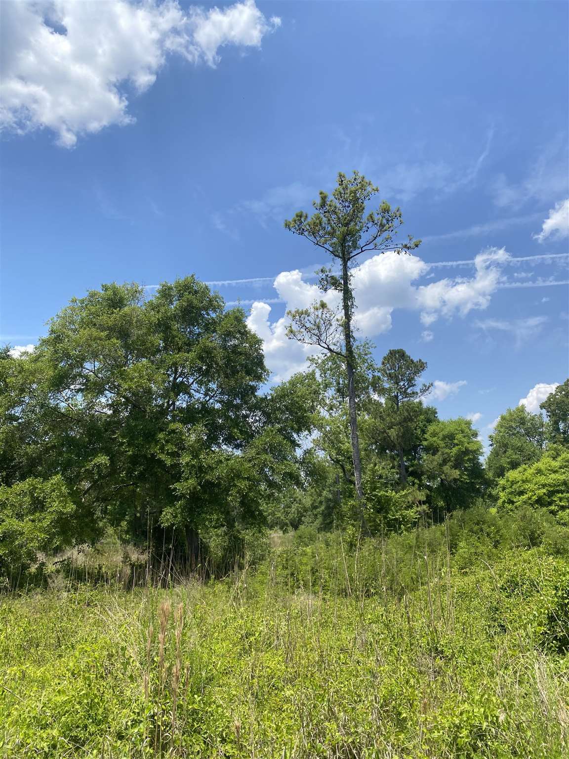 Tbd Water Tower Rd. Property Photo 15