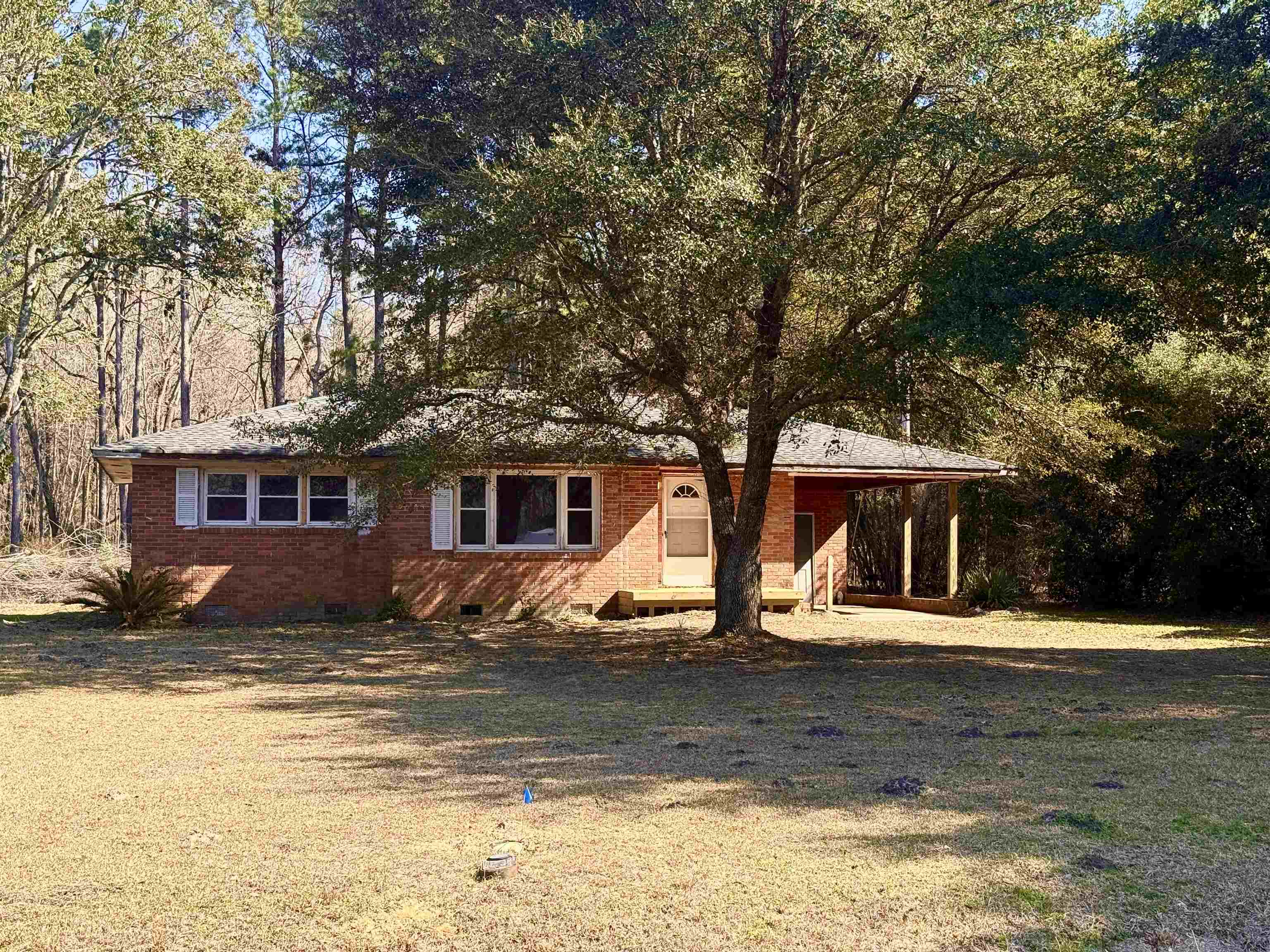 408 Eva Loop Property Photo 12