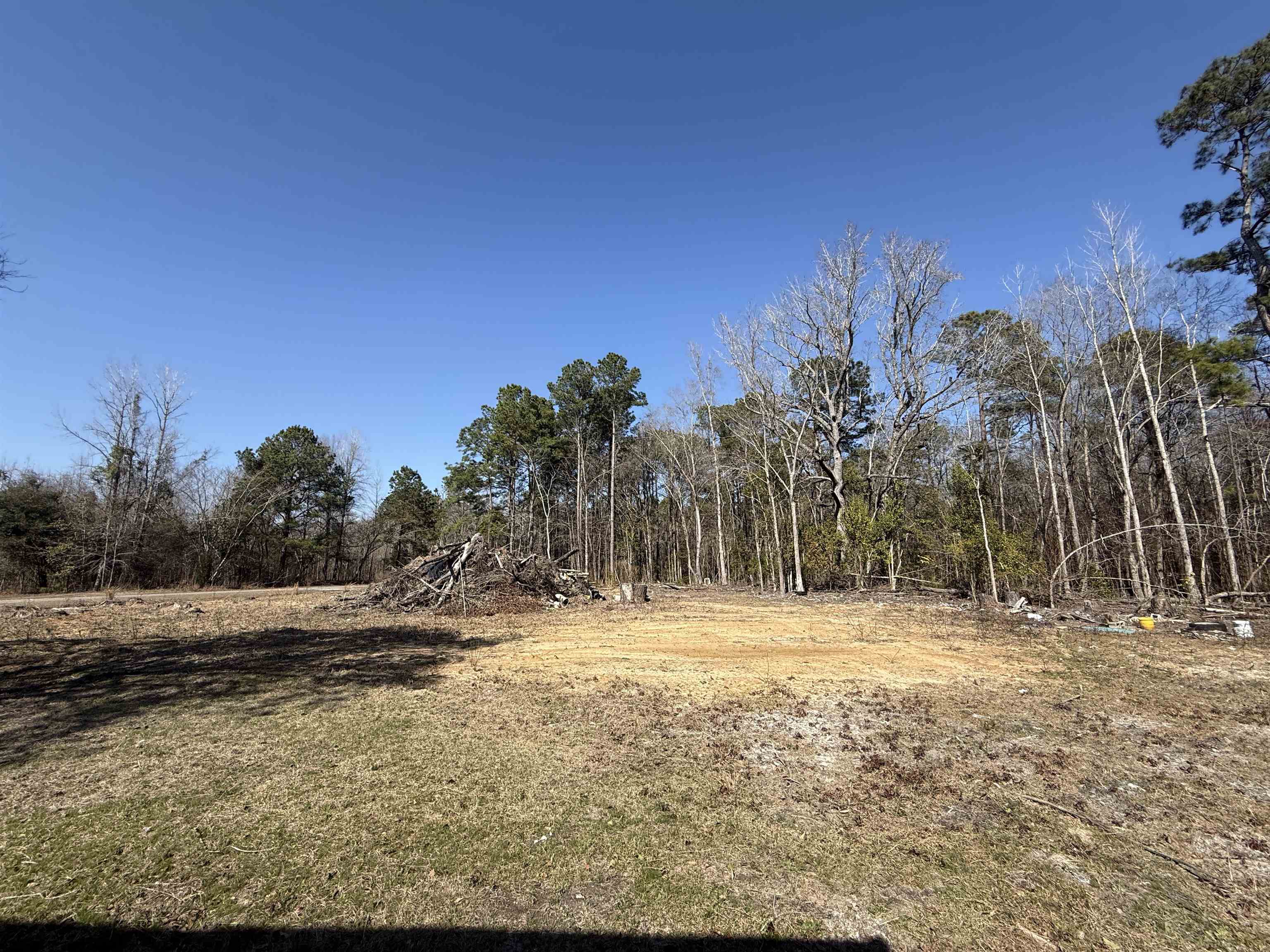408 Eva Loop Property Photo 15