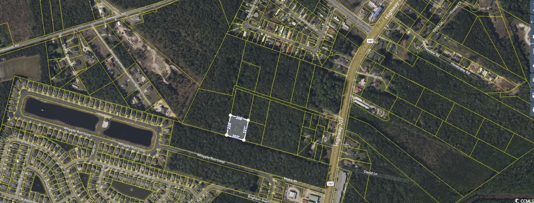 Tbd Lot D Highway 707 Property Photo 3