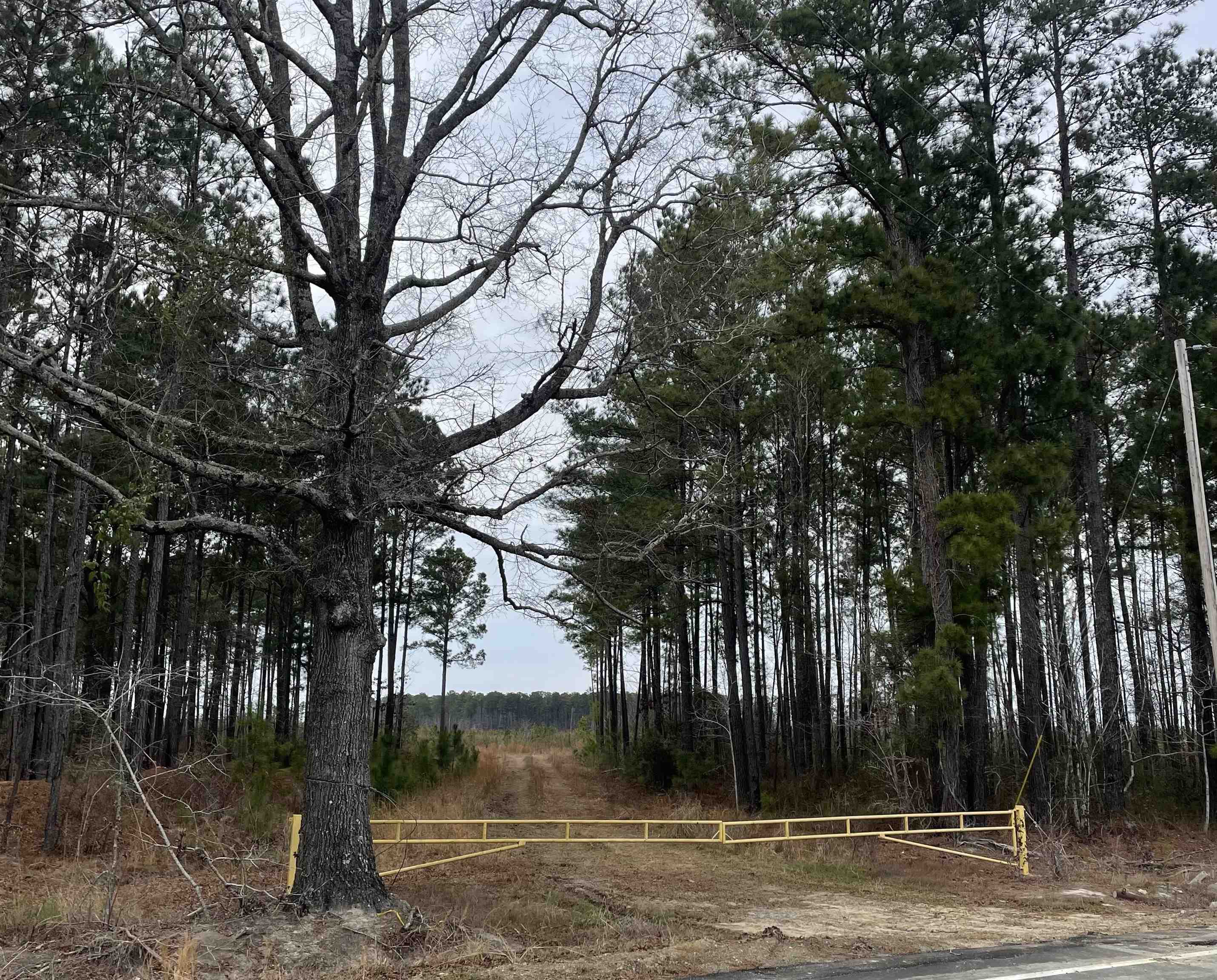 Tbd Rocky Ford Rd. Property Photo 1