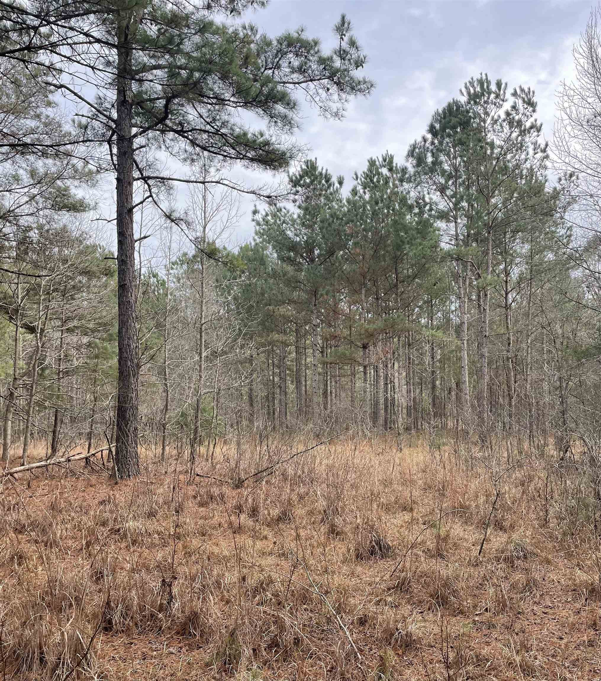 Tbd Rocky Ford Rd. Property Photo 2