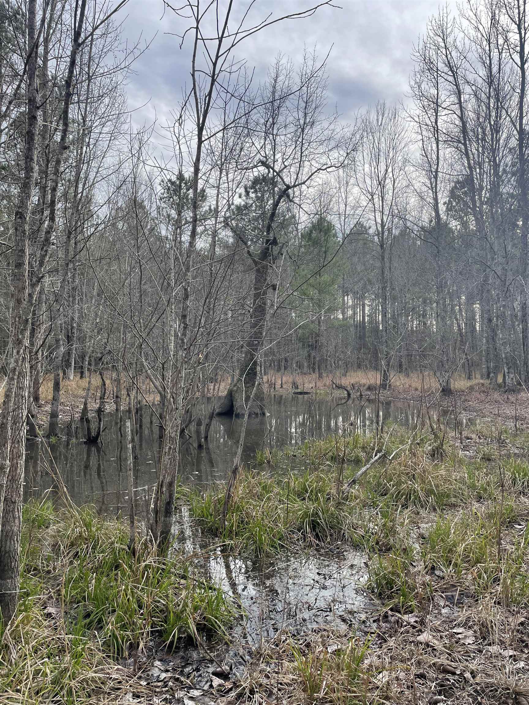 Tbd Rocky Ford Rd. Property Photo 3