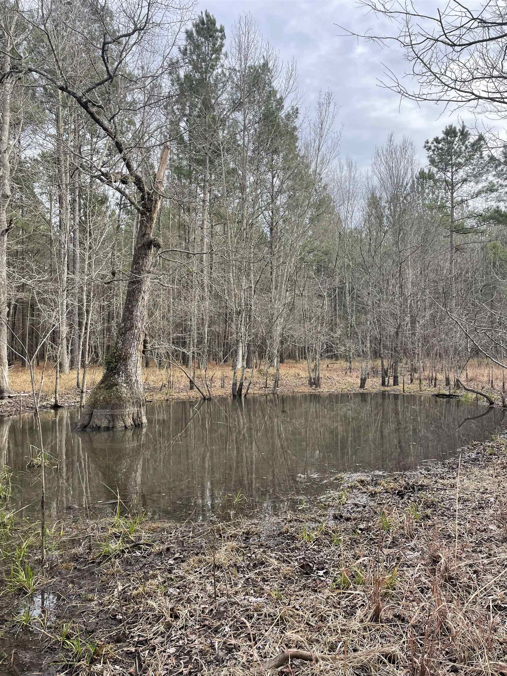 Tbd Rocky Ford Rd. Property Photo 4