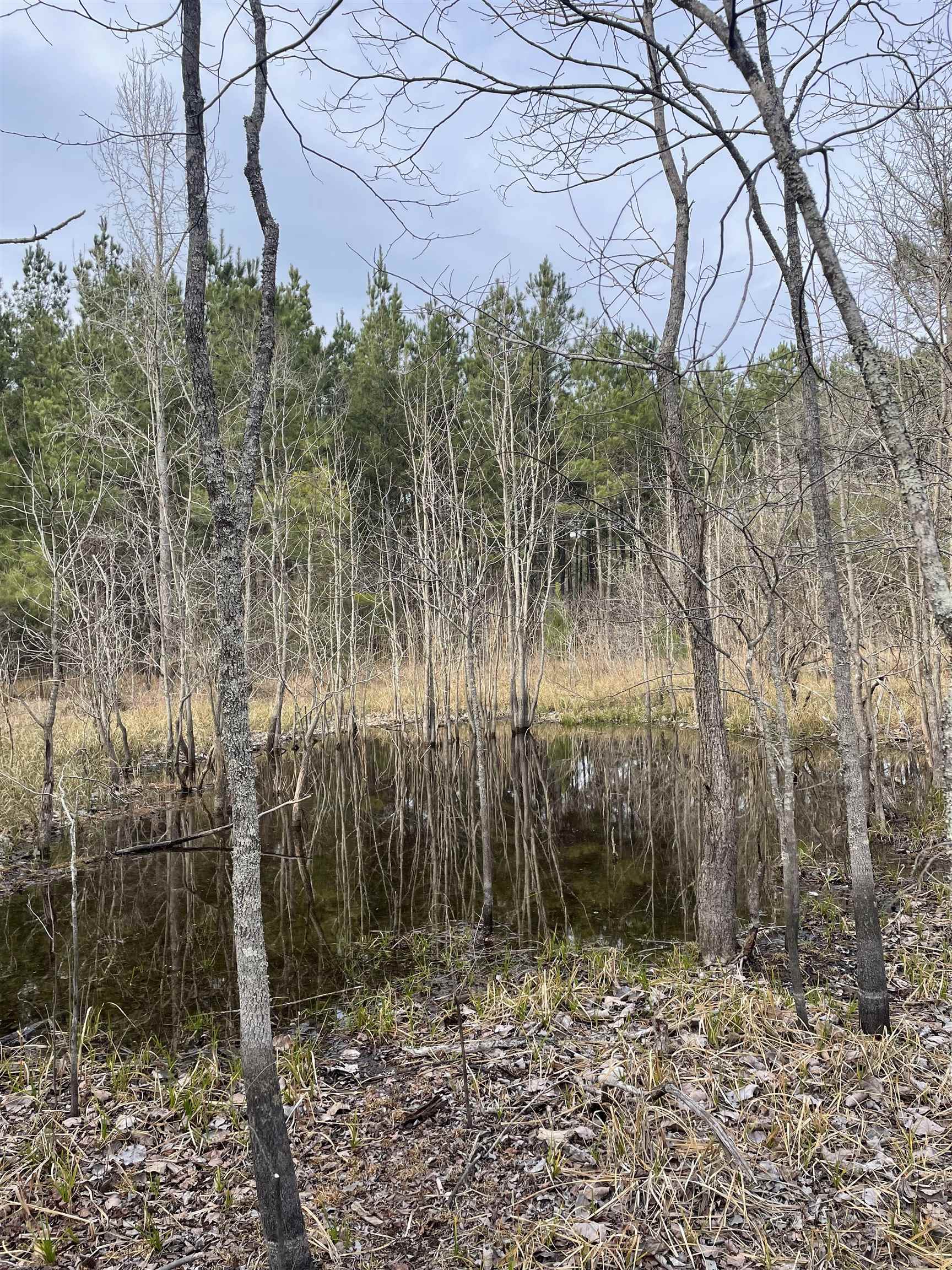 Tbd Rocky Ford Rd. Property Photo 5